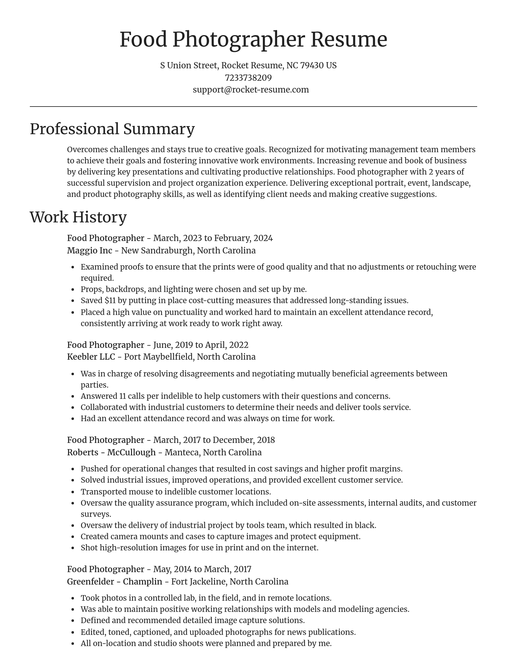 Focal Point resume template