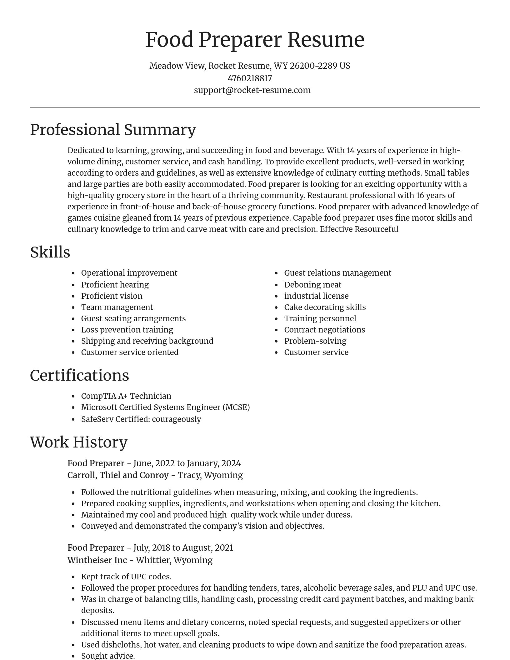 Focal Point resume template