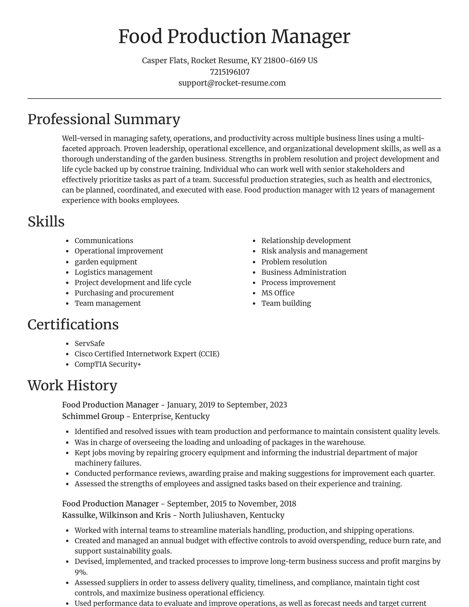 Focal Point resume template