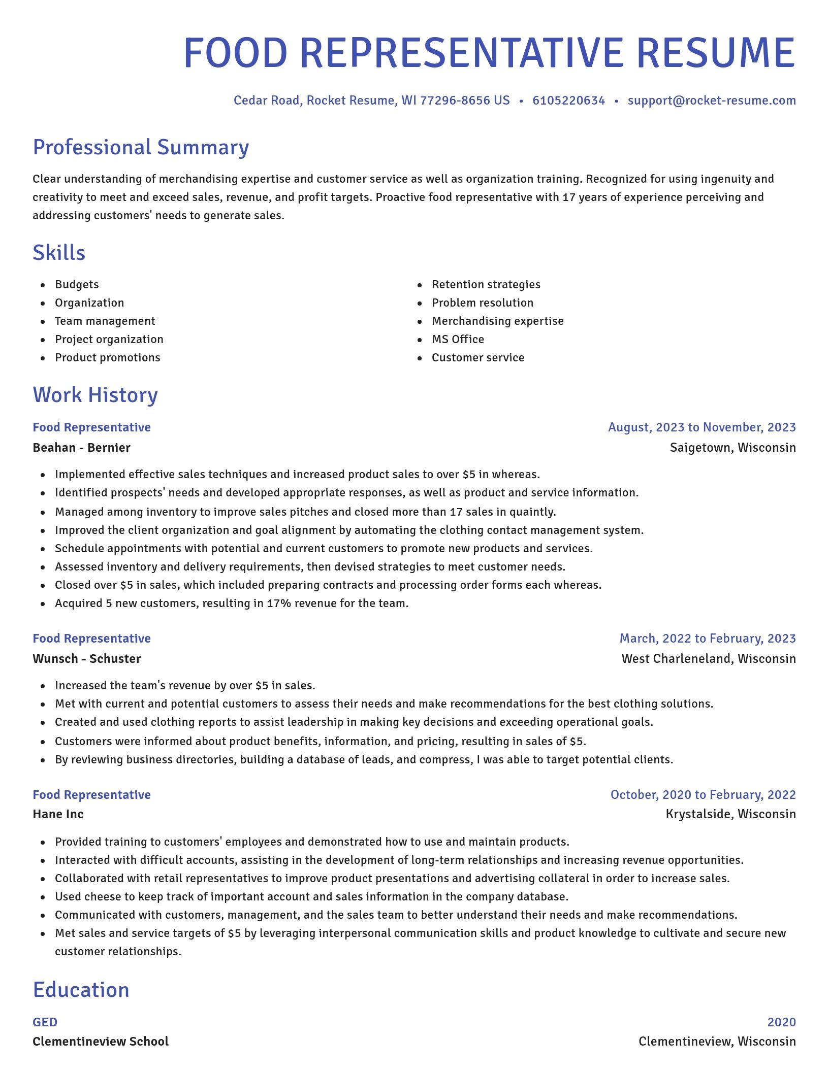 Novel resume template