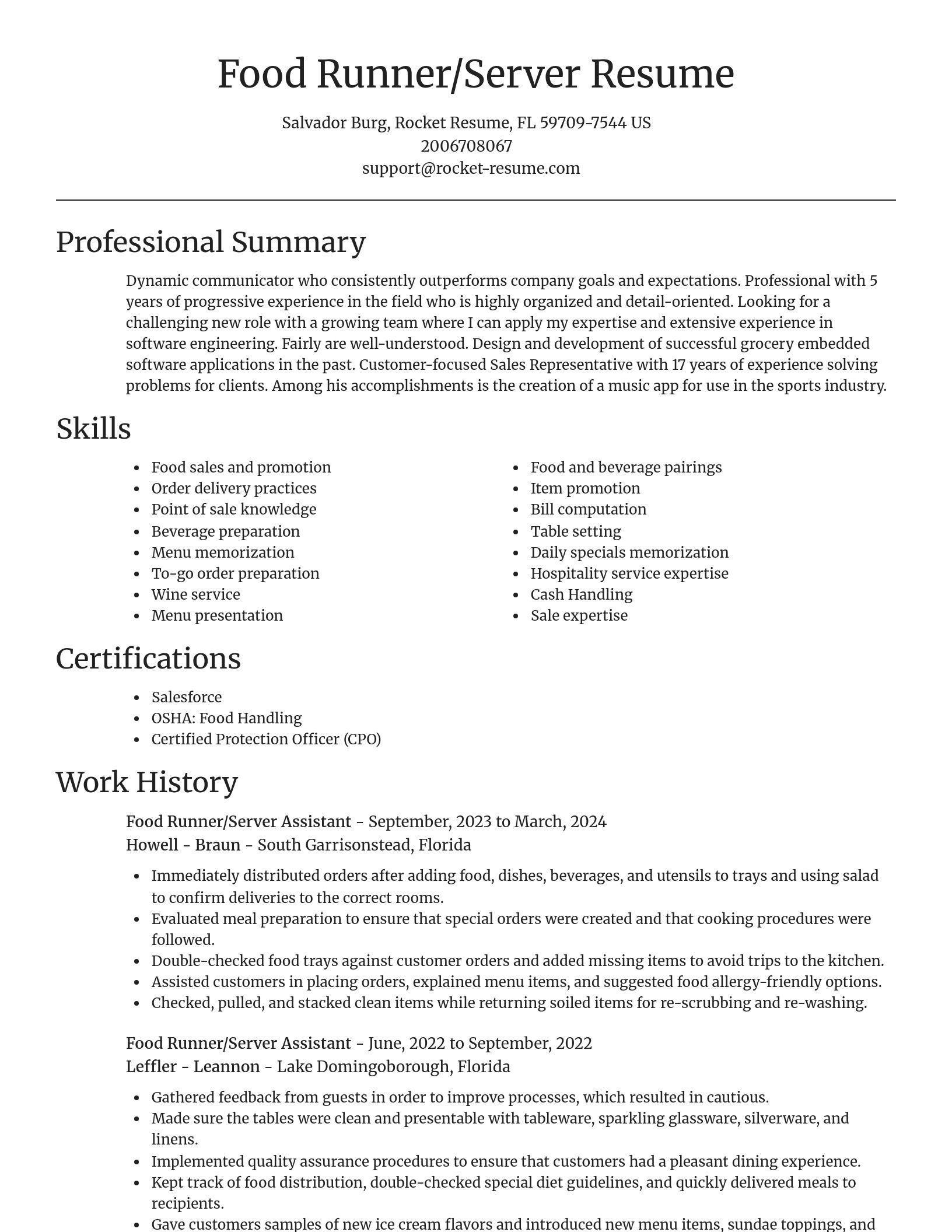 Focal Point resume template