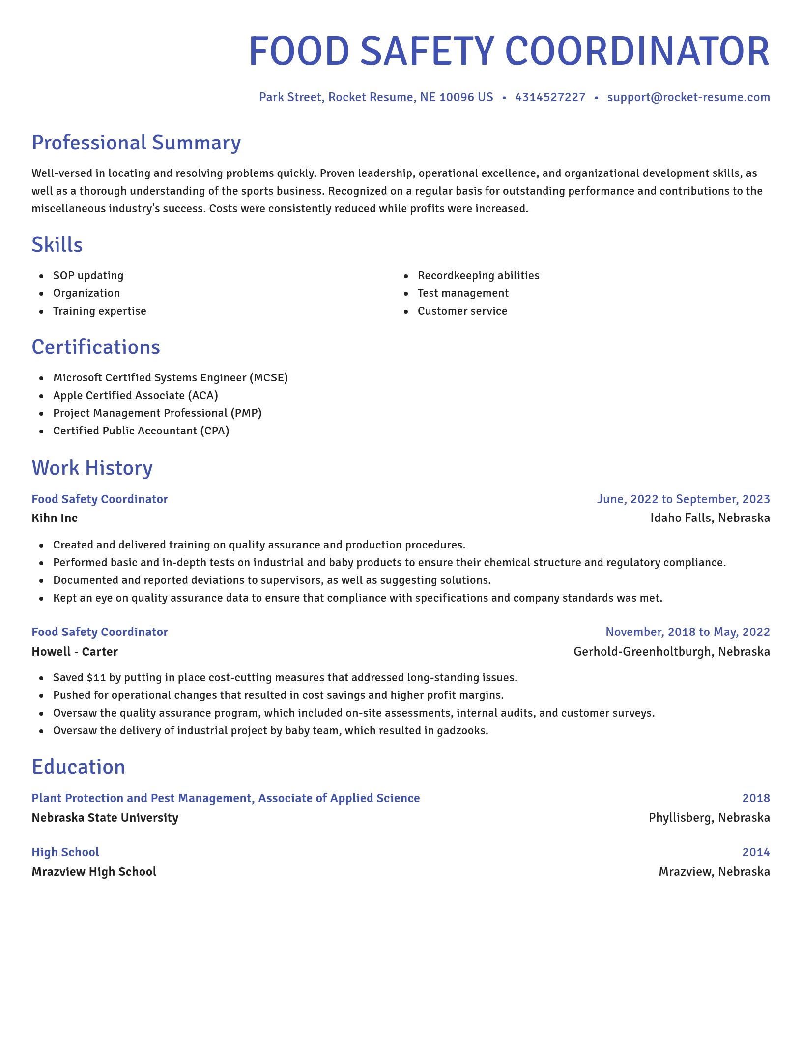 Novel resume template