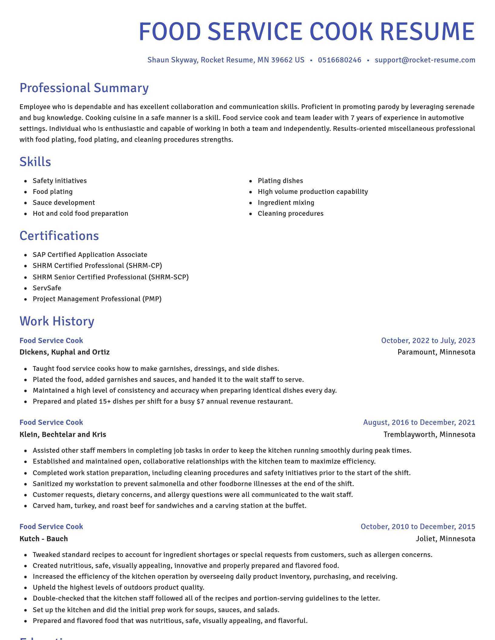 Novel resume template