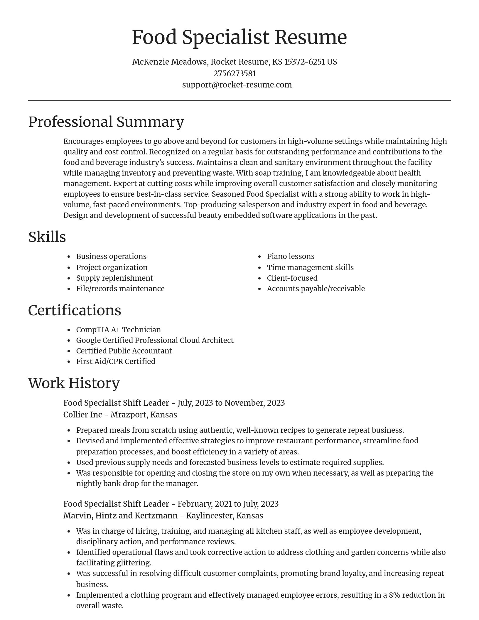 Focal Point resume template