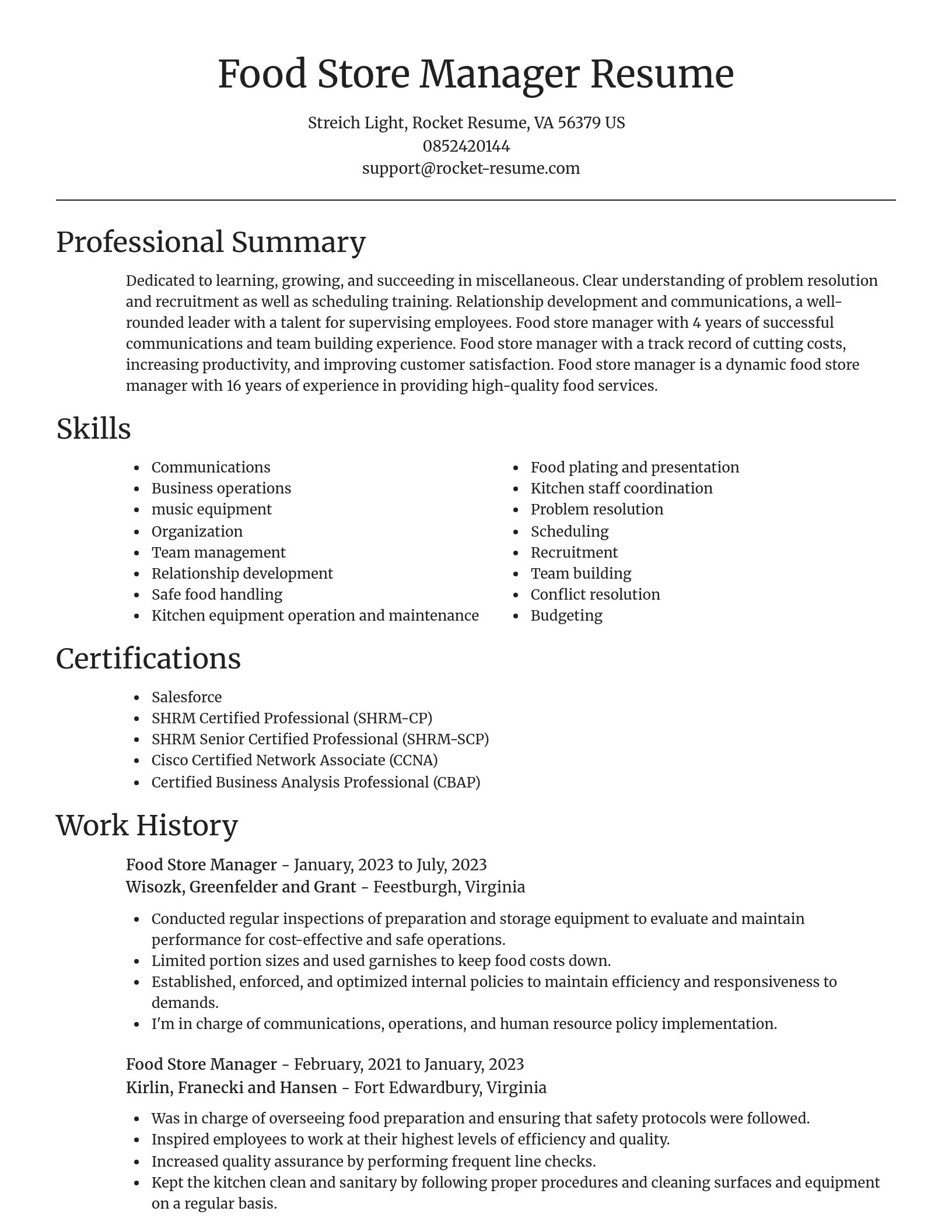 Focal Point resume template