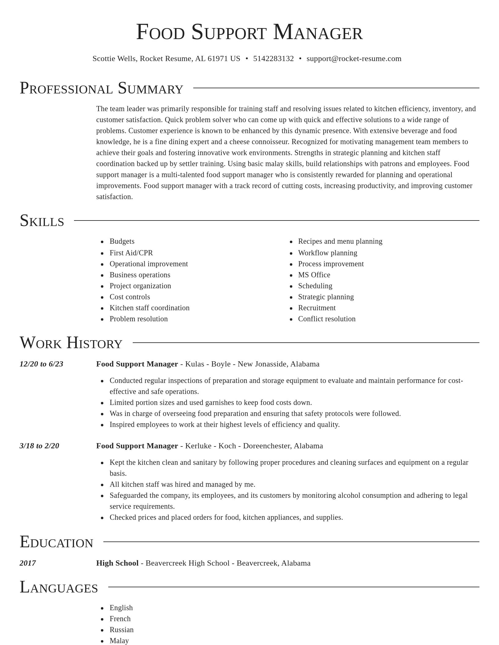 Director resume template