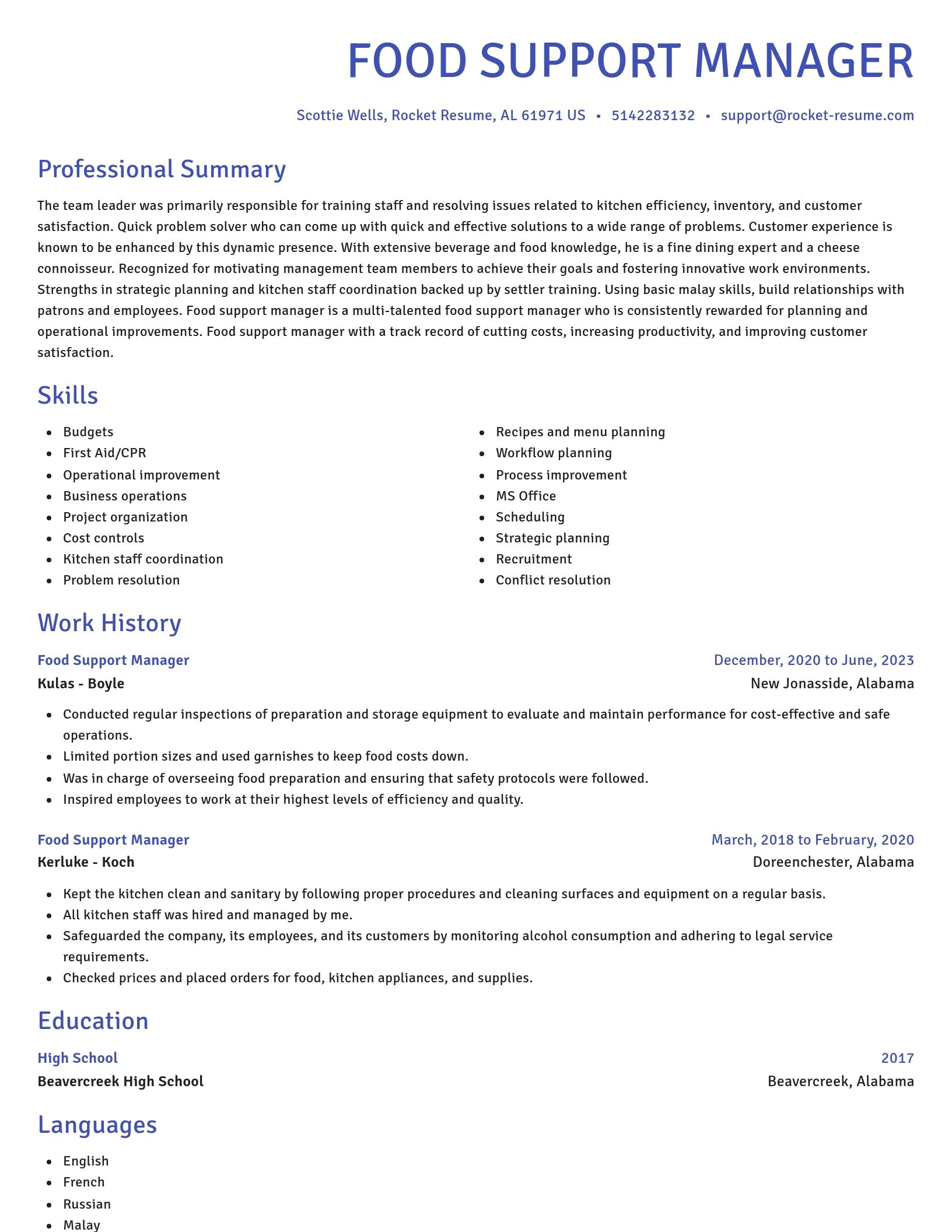Novel resume template