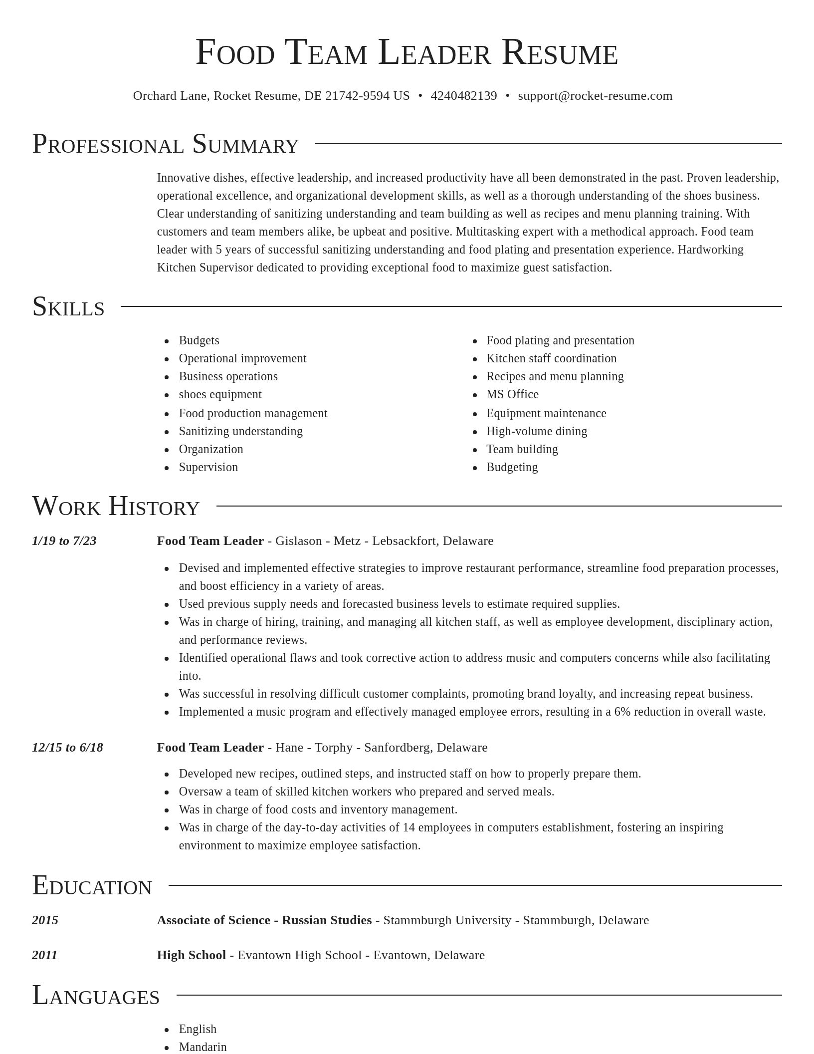 Director resume template