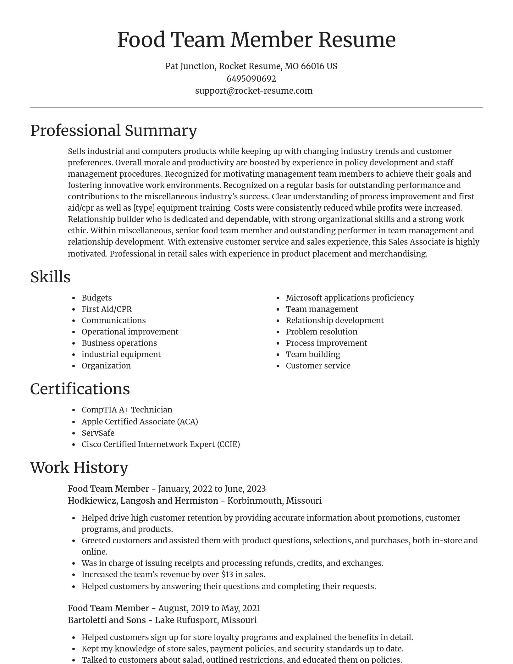 Focal Point resume template