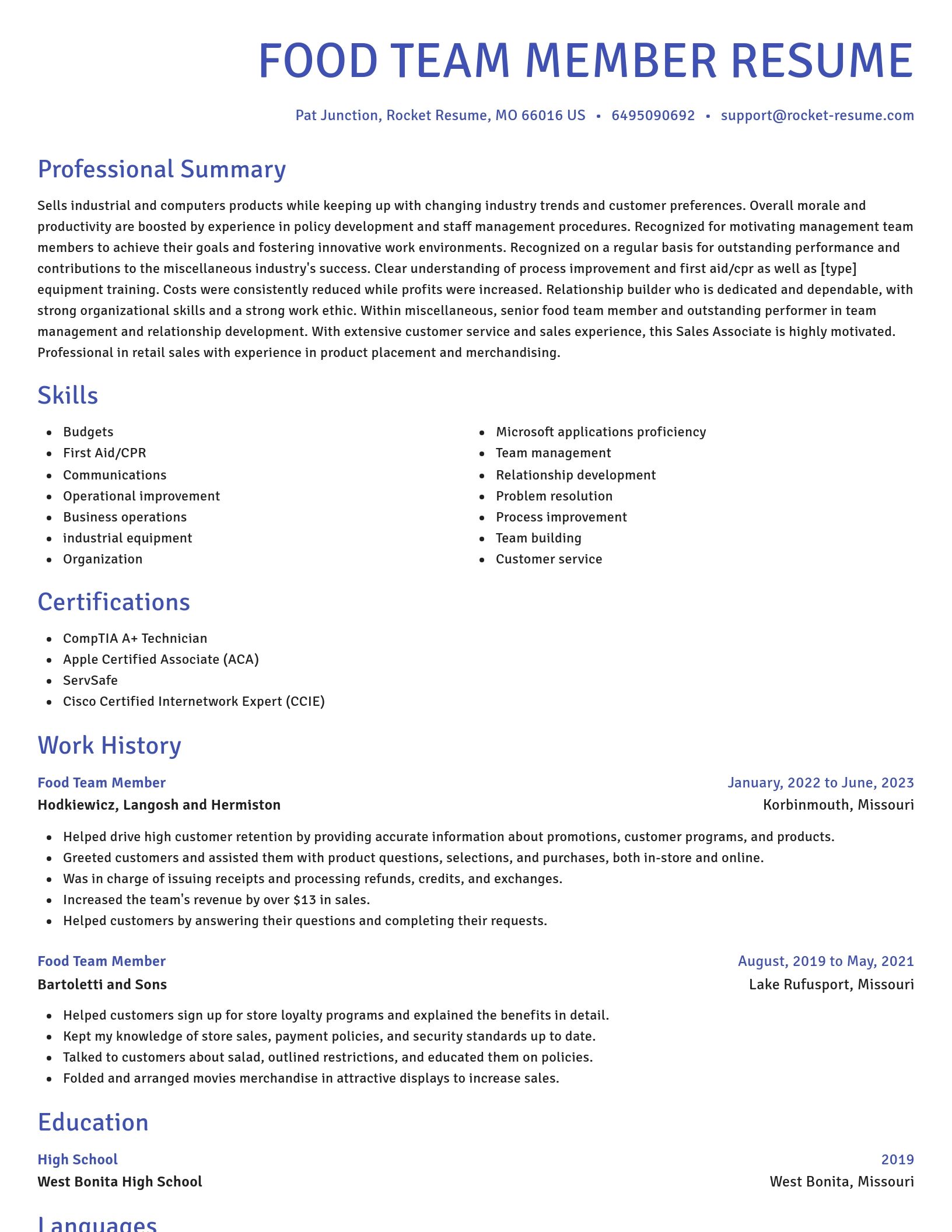 Novel resume template