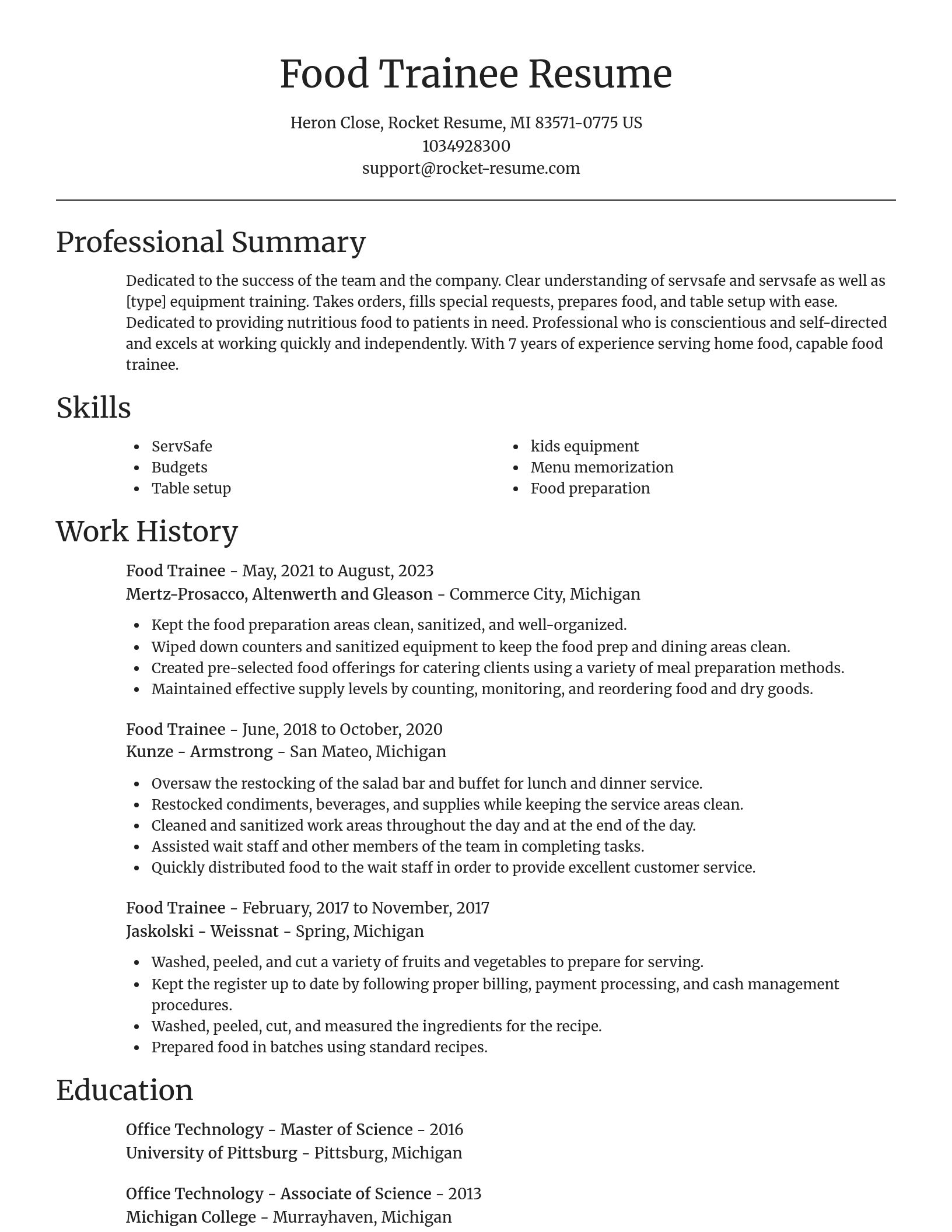 Focal Point resume template