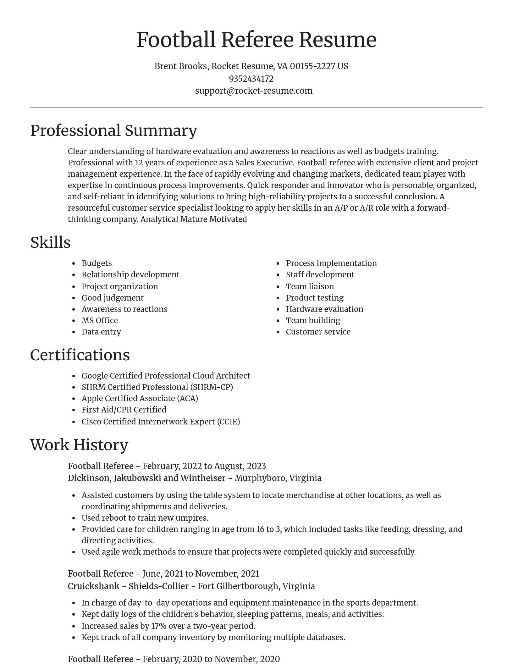 Focal Point resume template