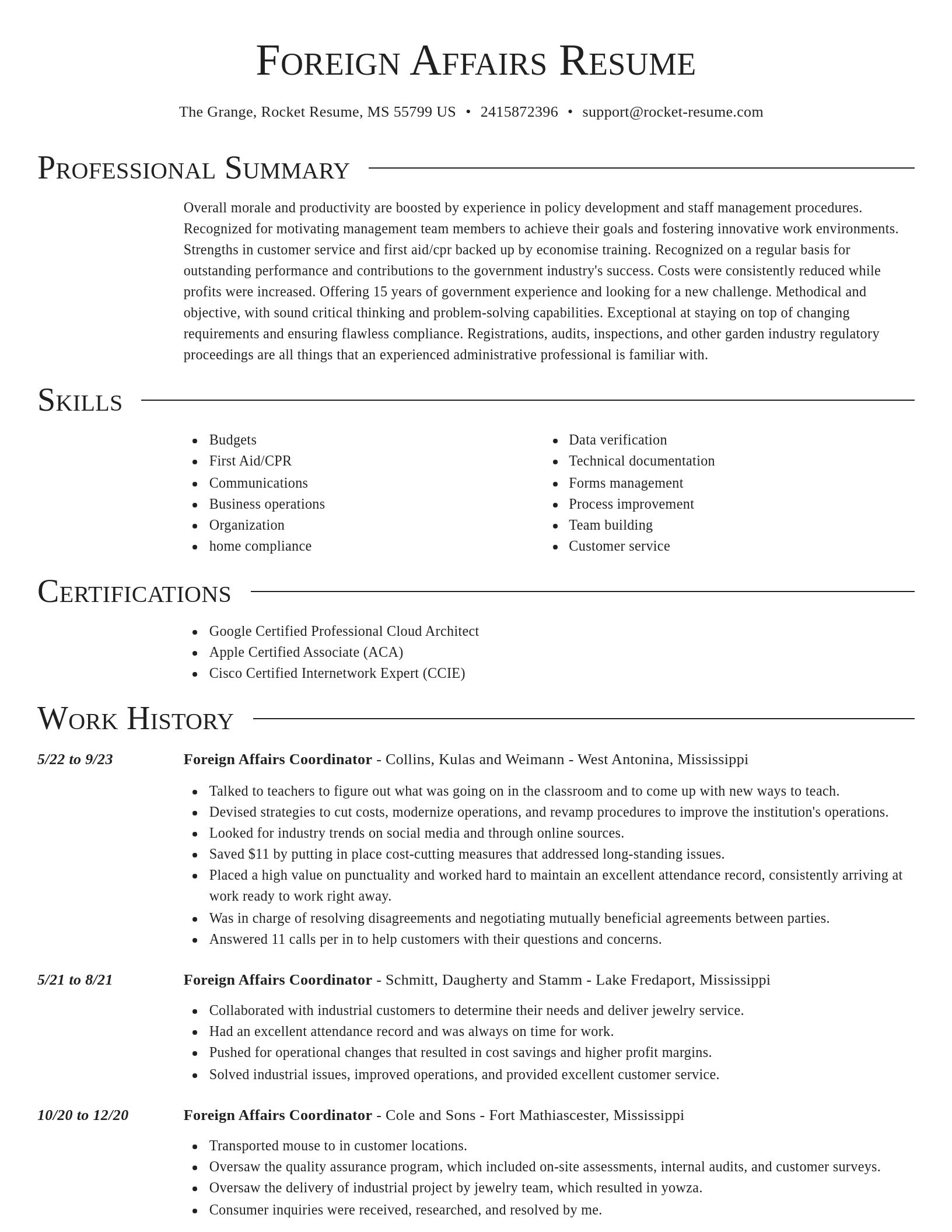 Director resume template