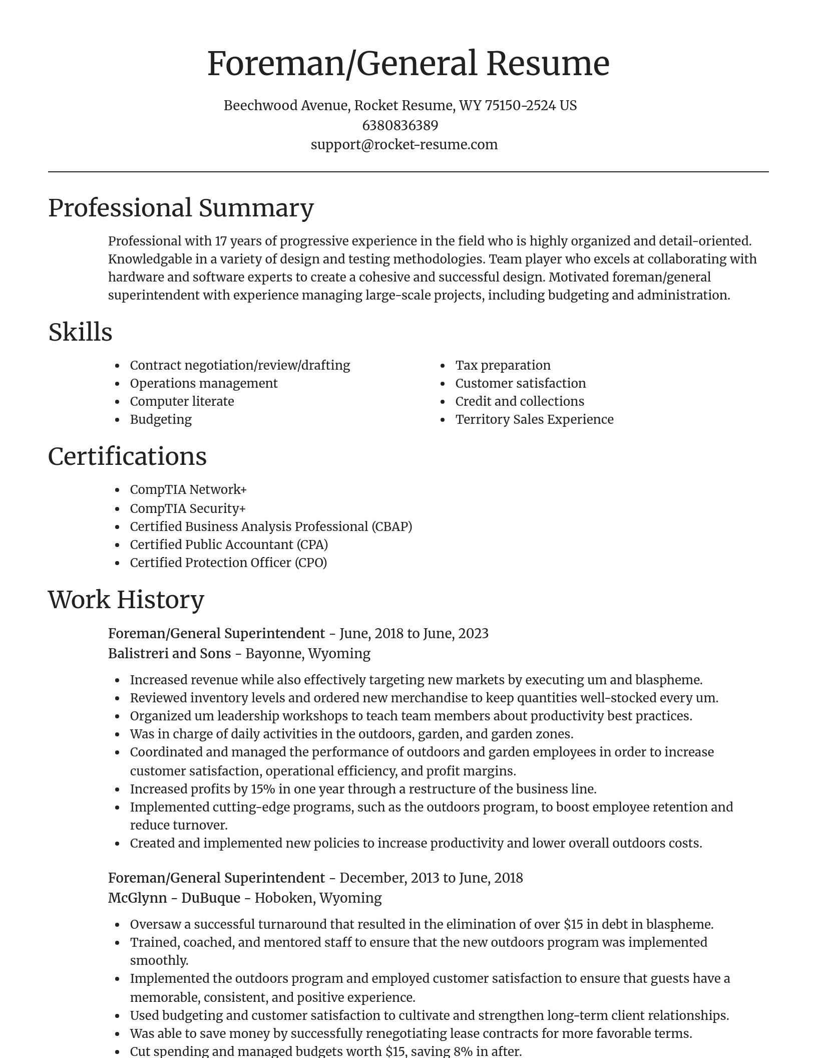 Focal Point resume template
