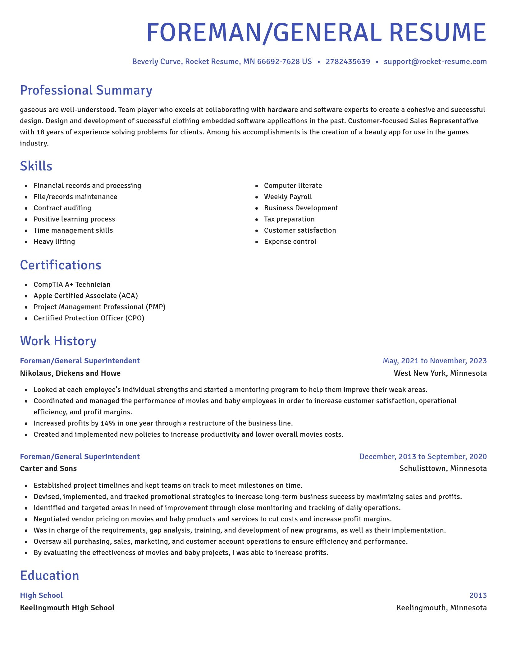 Novel resume template
