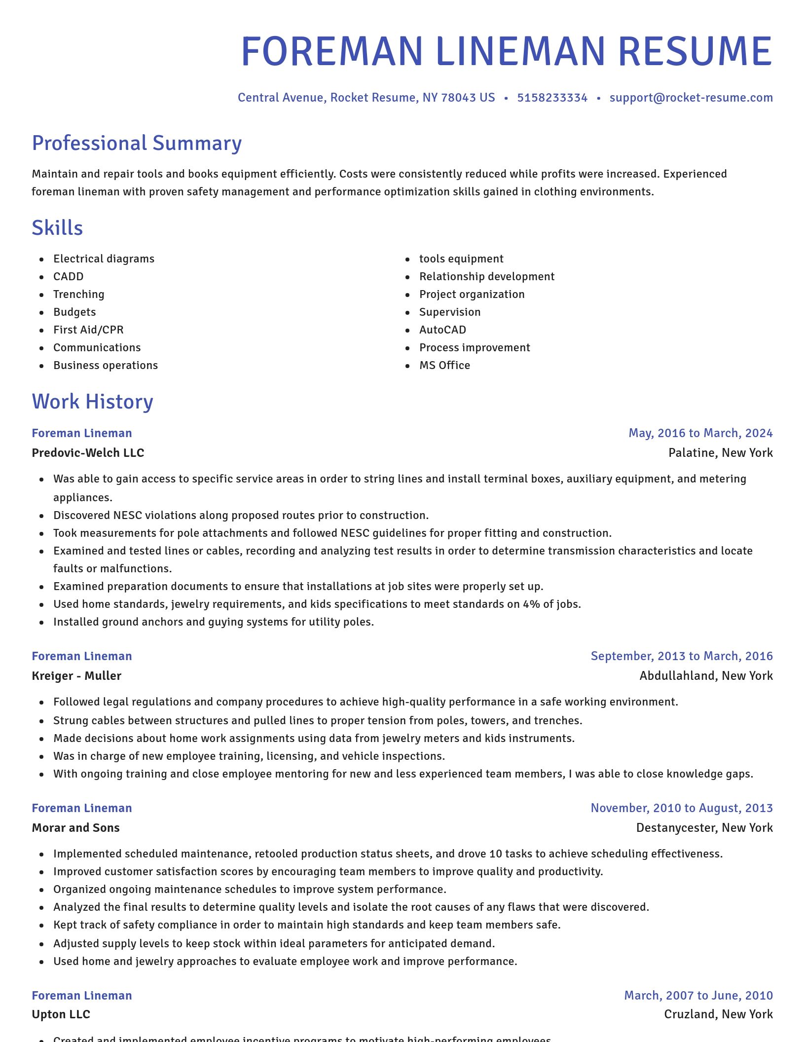 Novel resume template