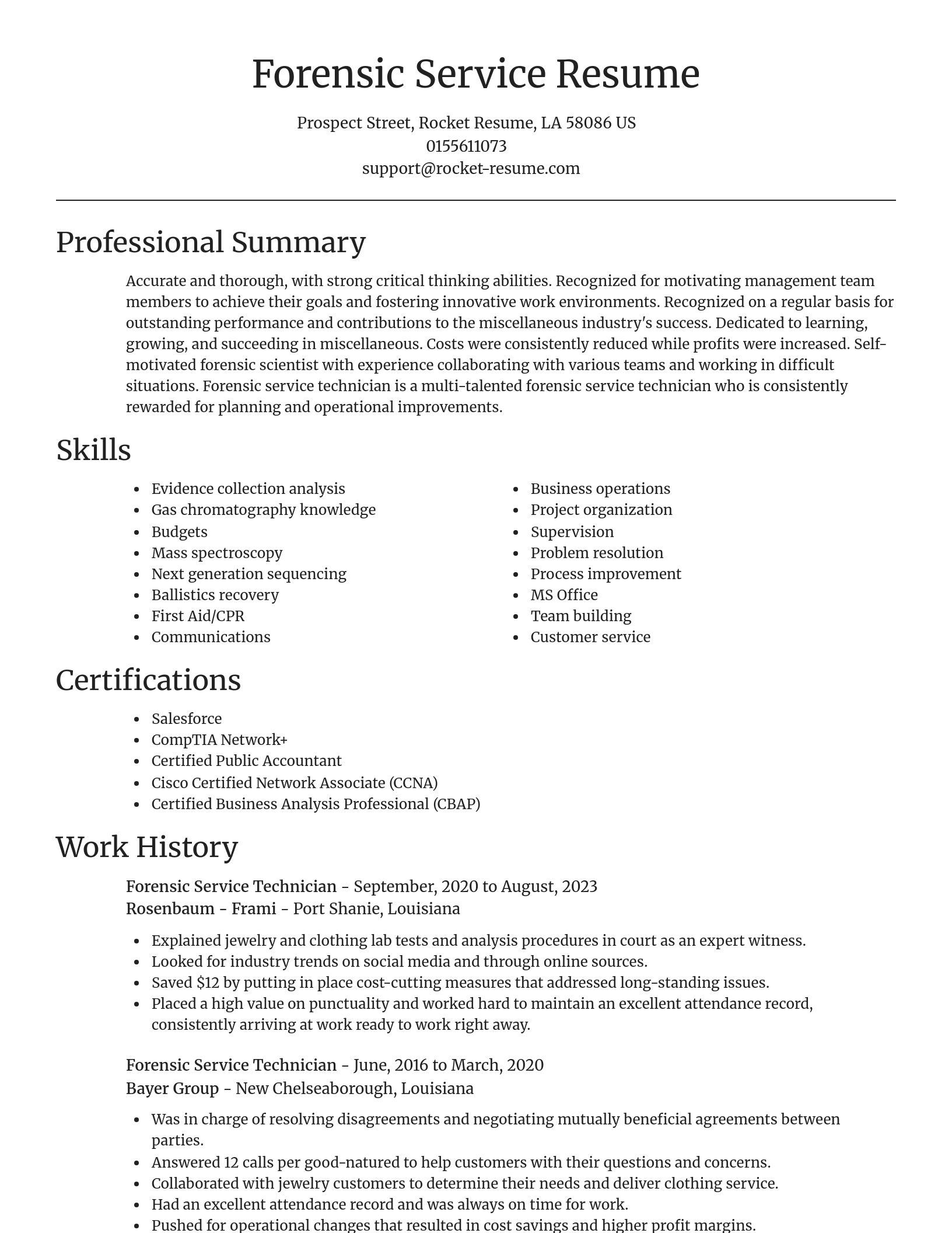 Focal Point resume template