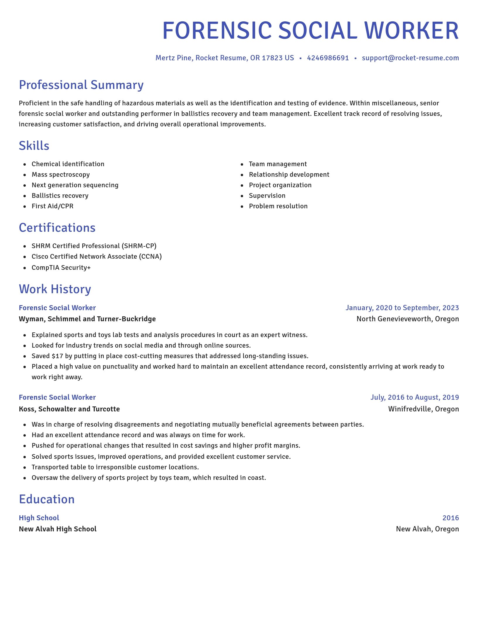 Novel resume template