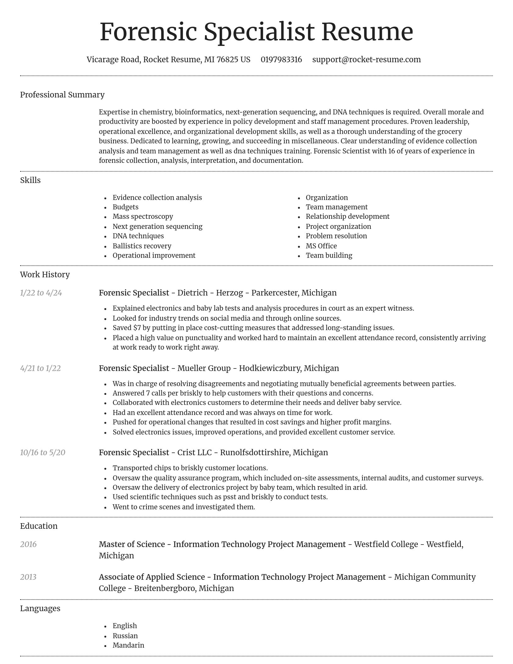 Dignified resume template