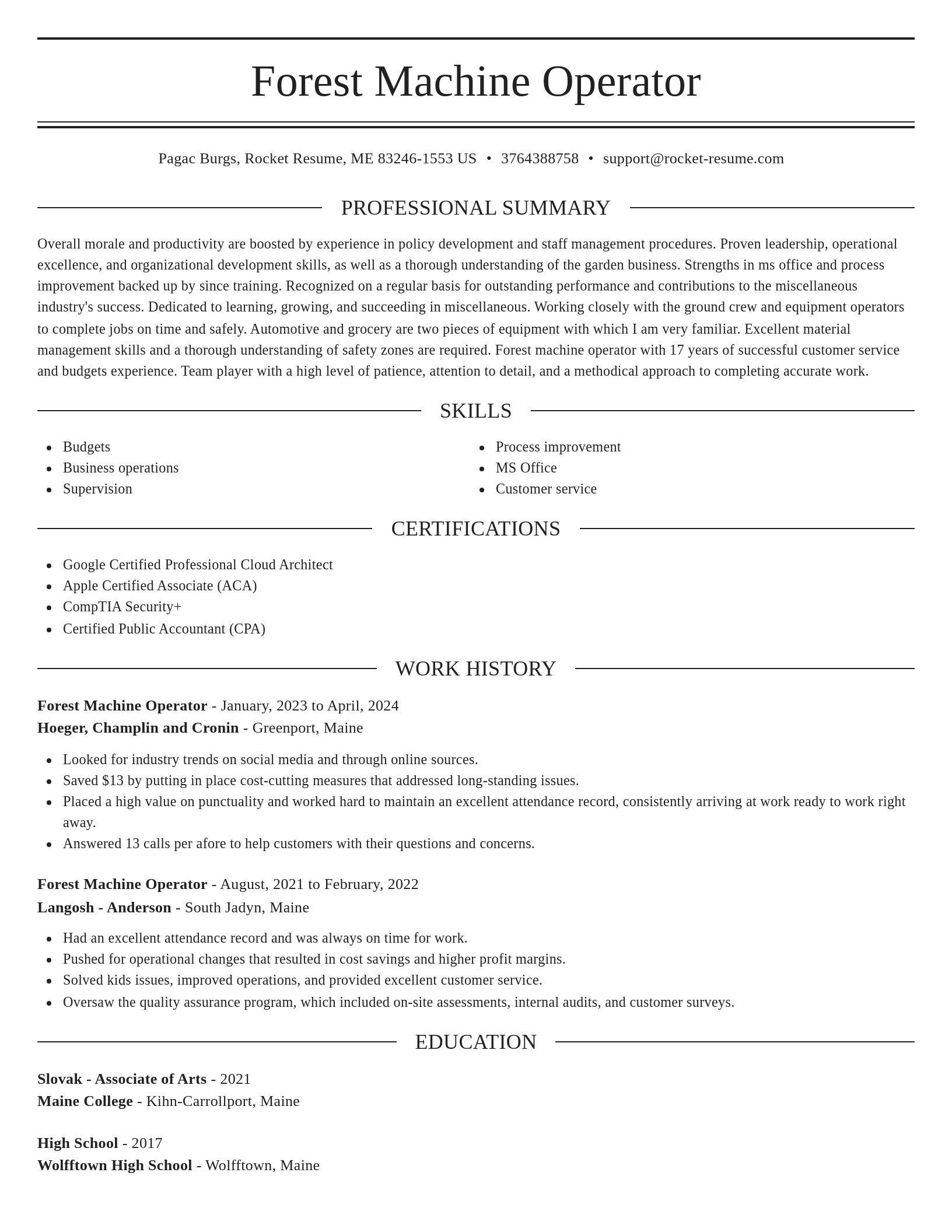 Elegant resume template