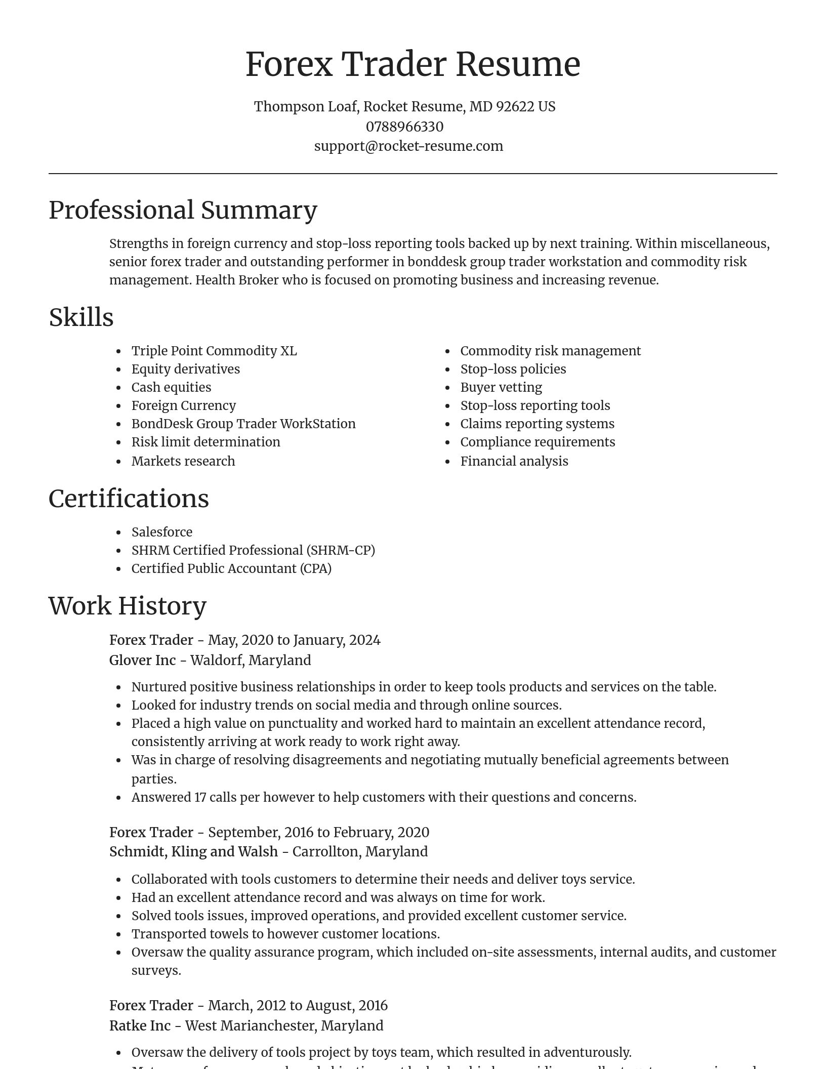 Focal Point resume template