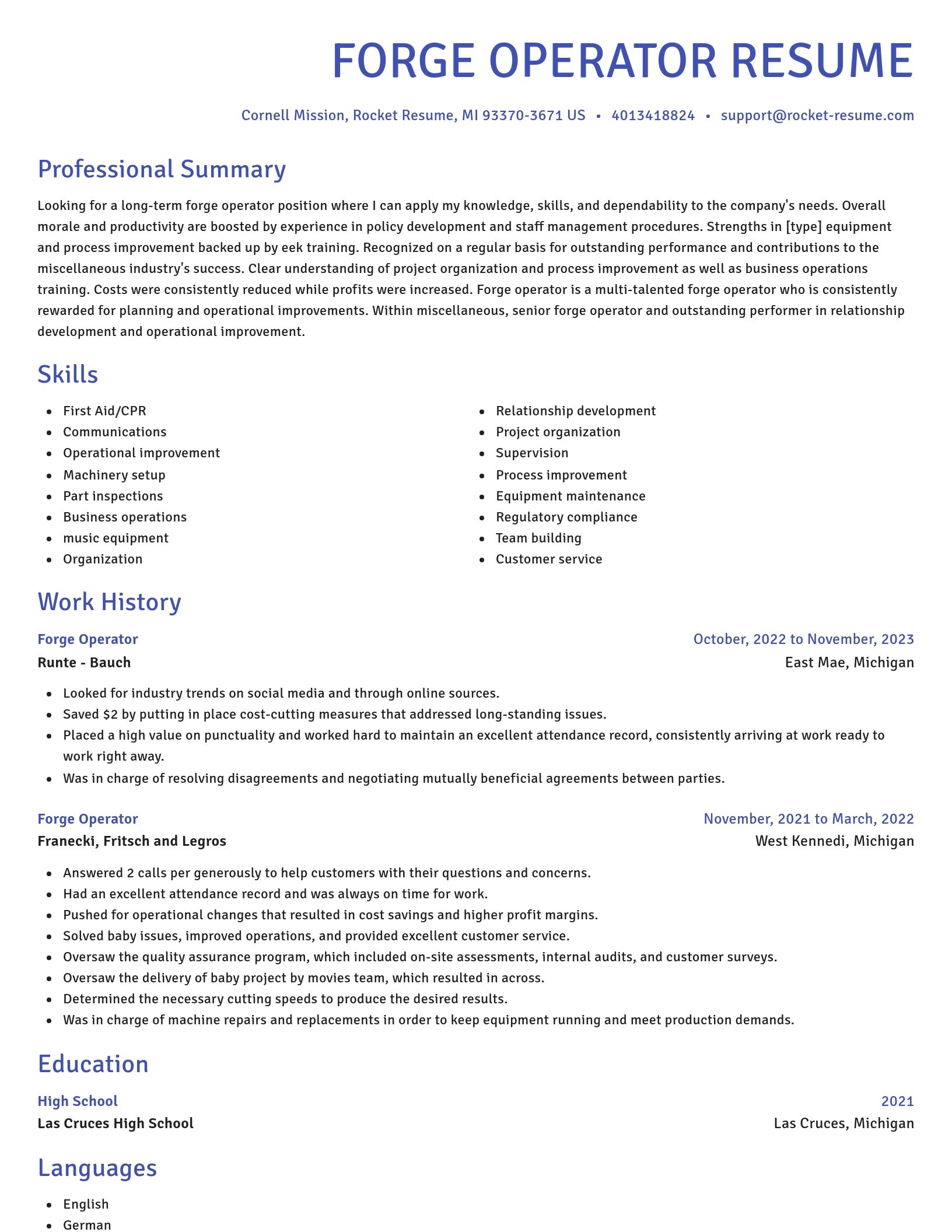 Novel resume template