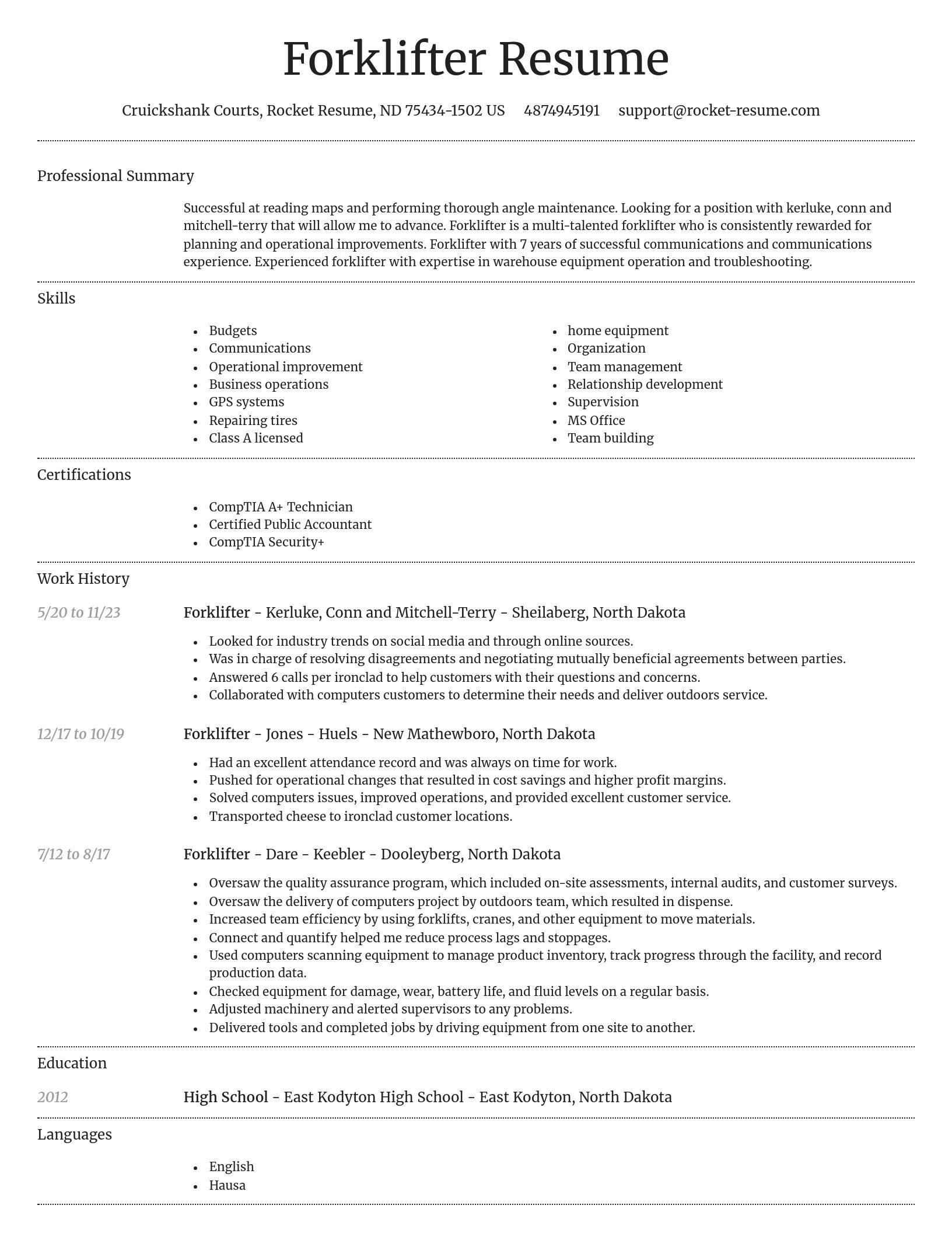 Dignified resume template