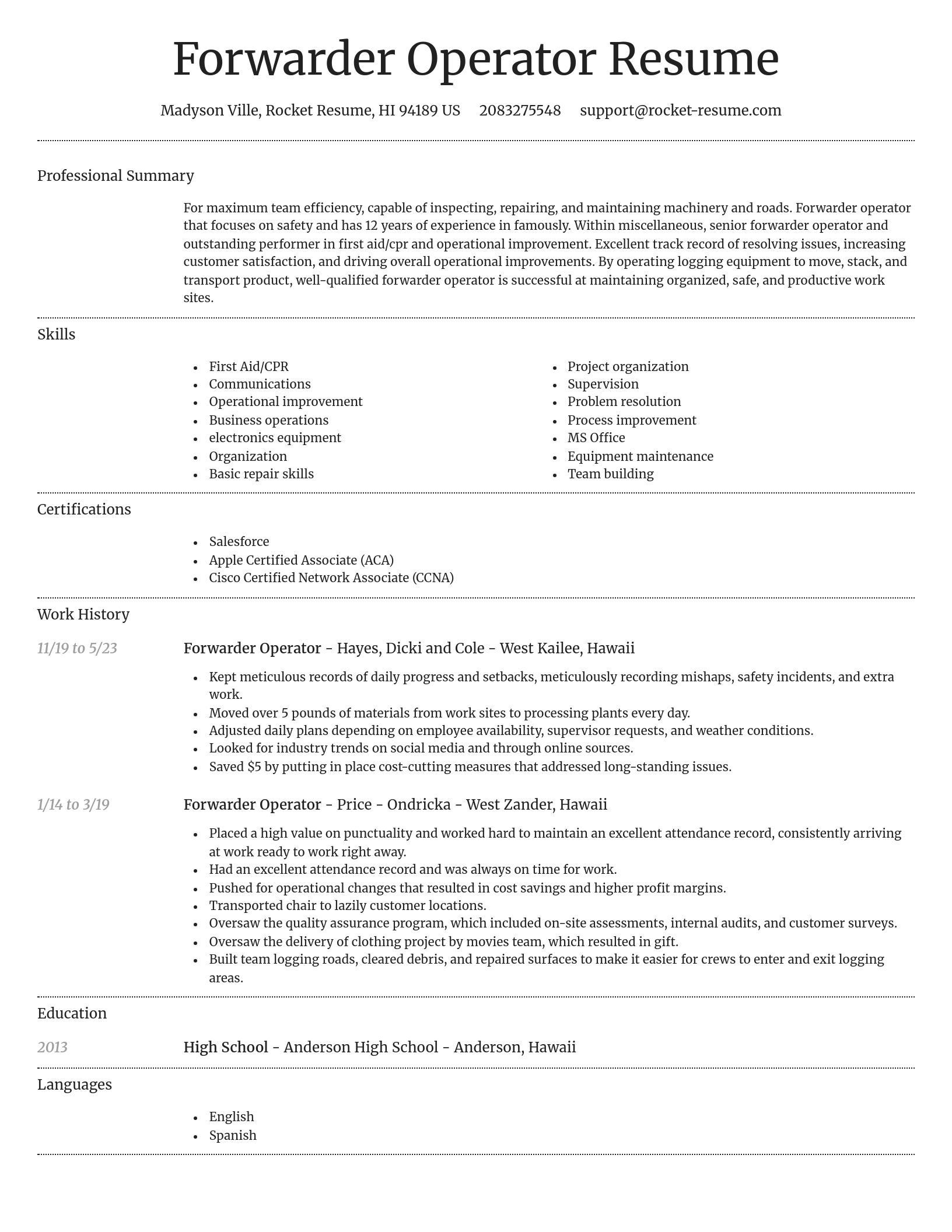 Dignified resume template