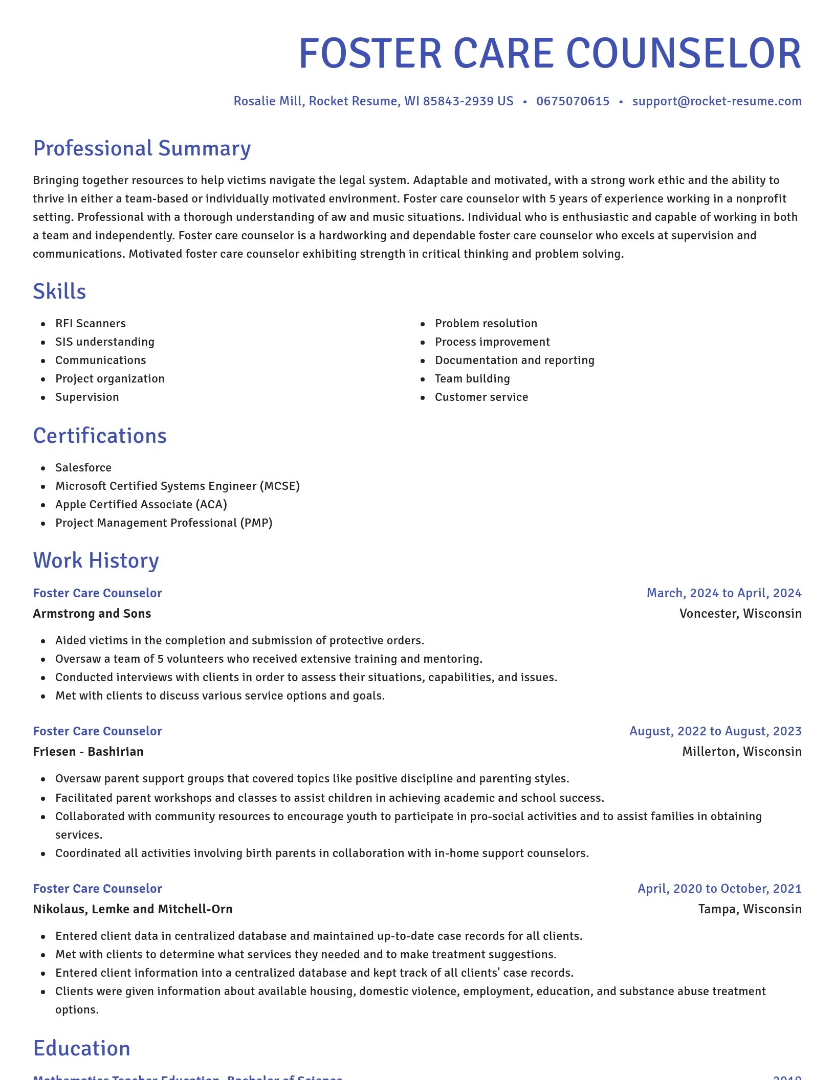 Novel resume template