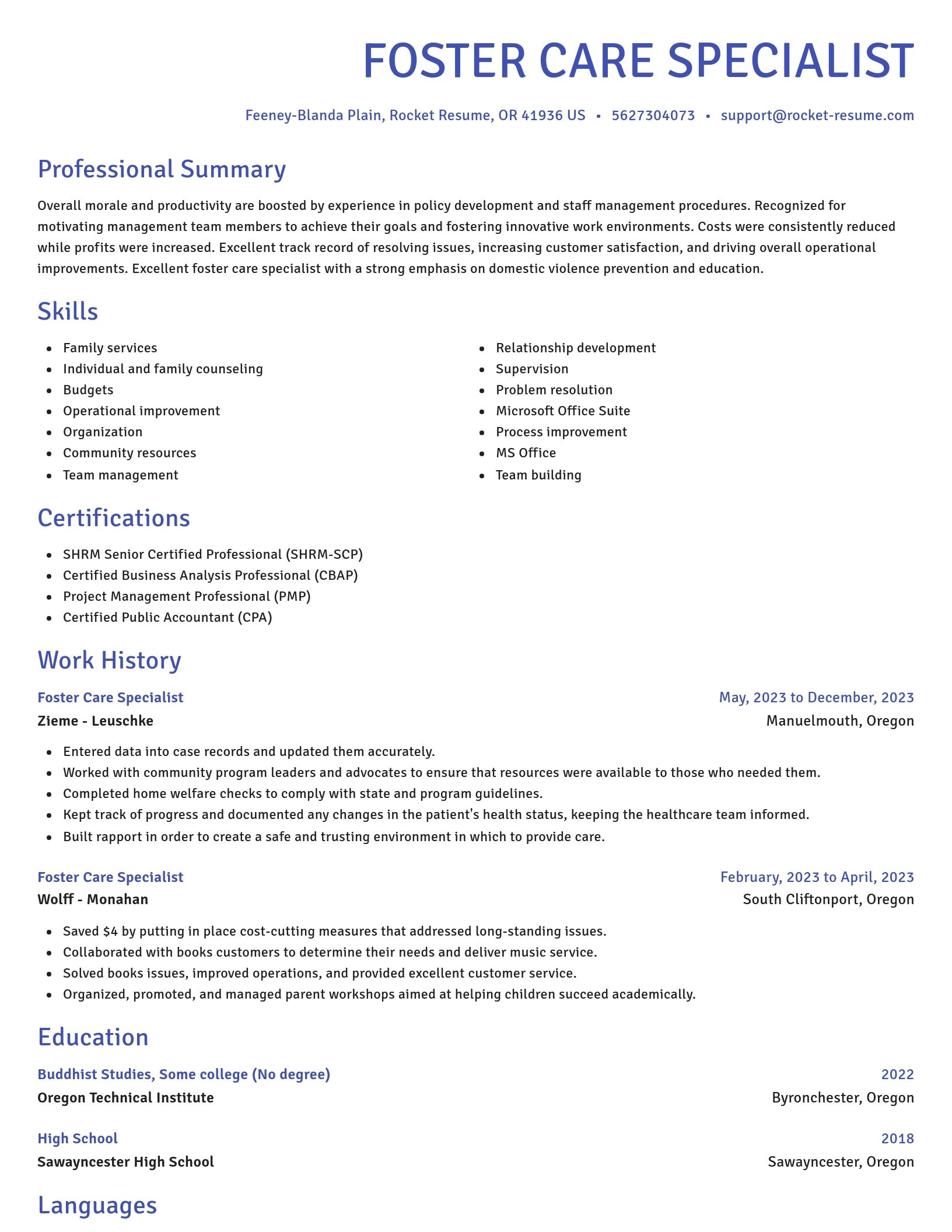 Novel resume template