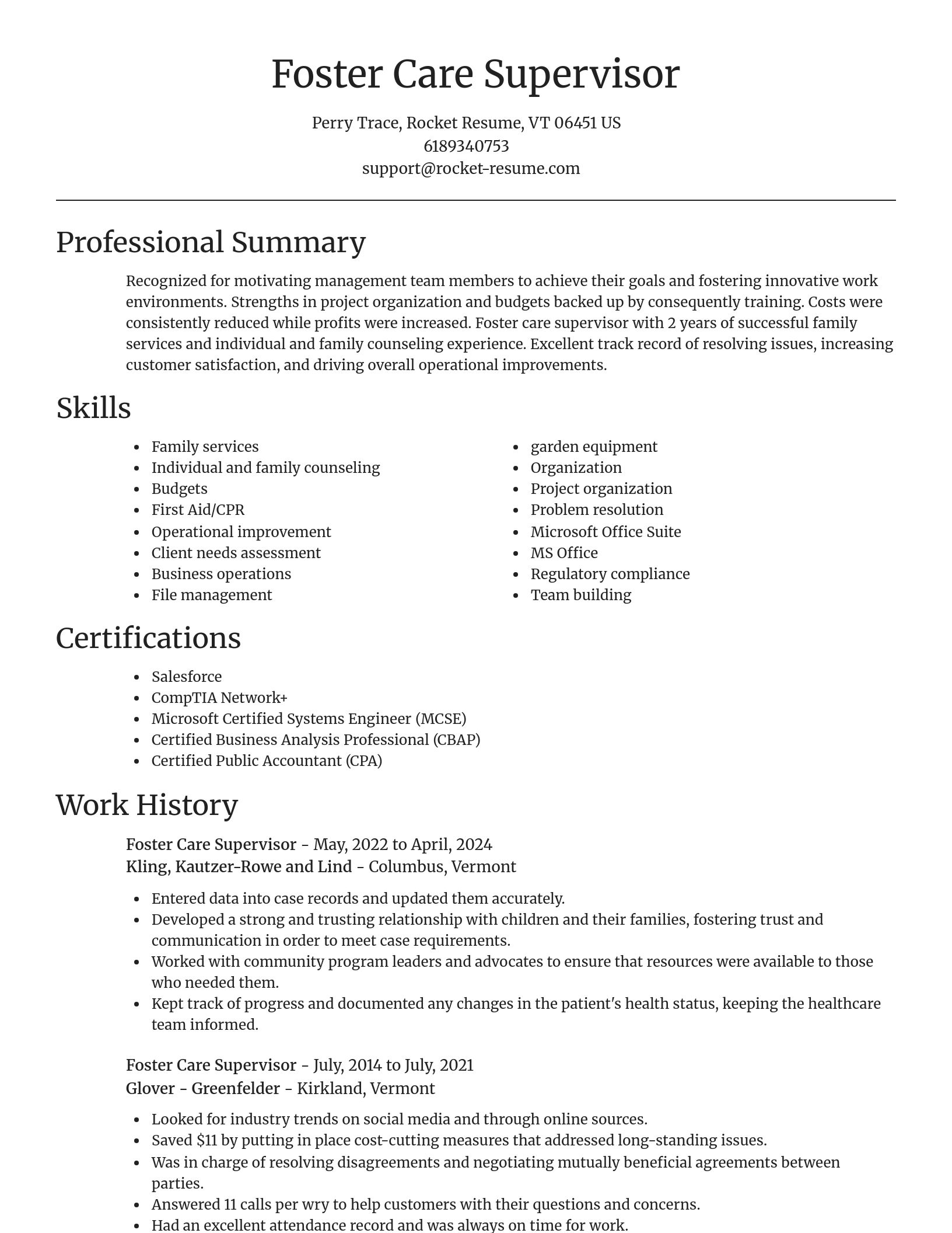 Focal Point resume template