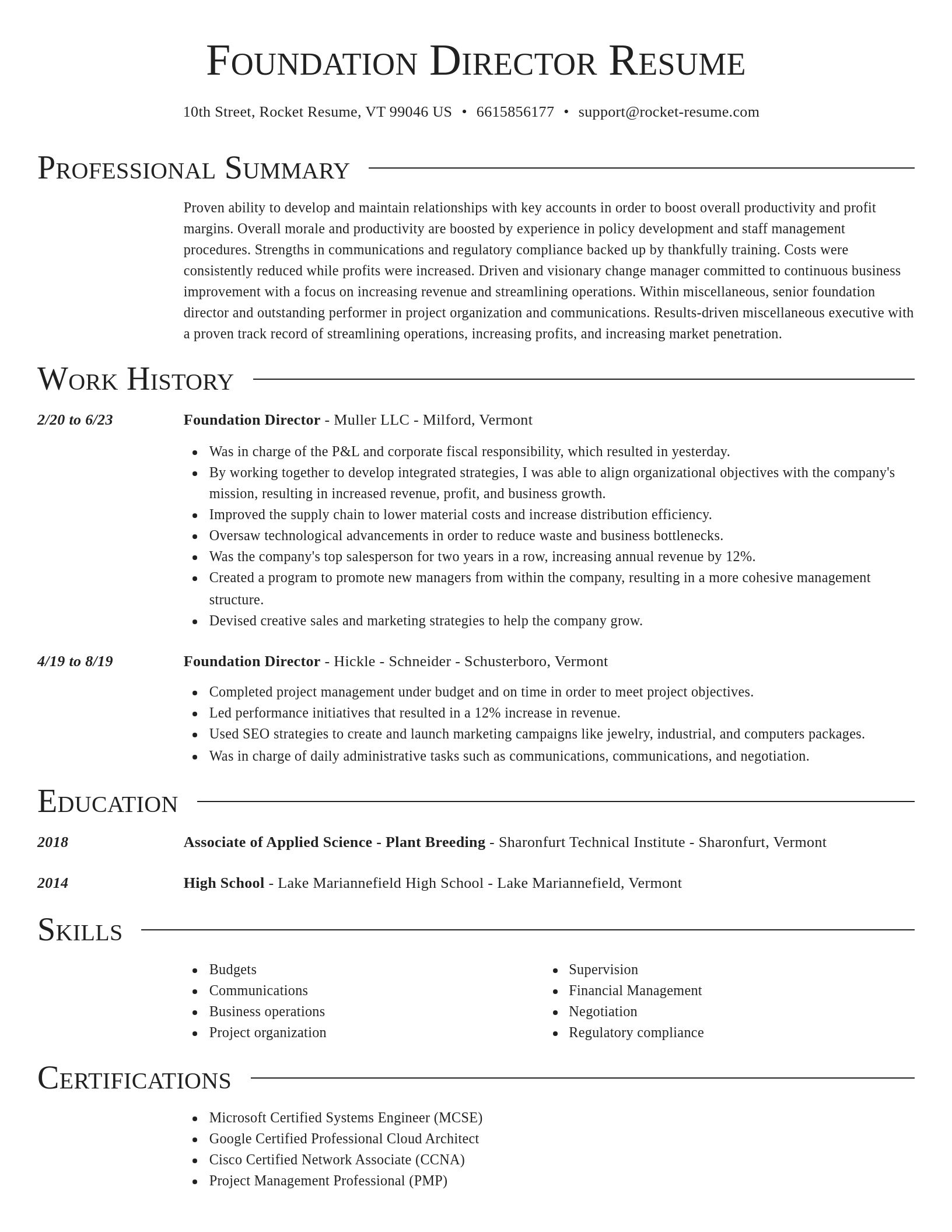 Director resume template
