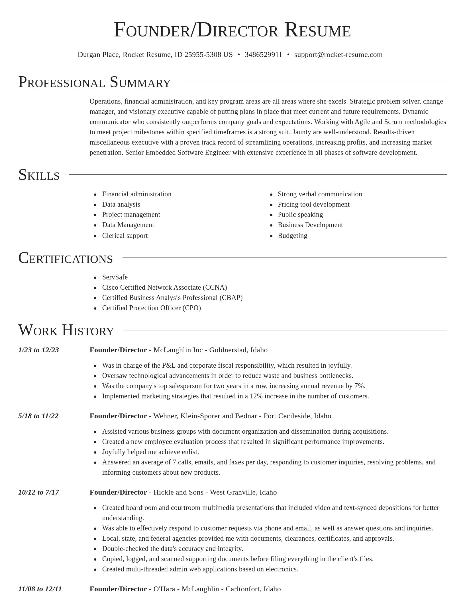 Director resume template