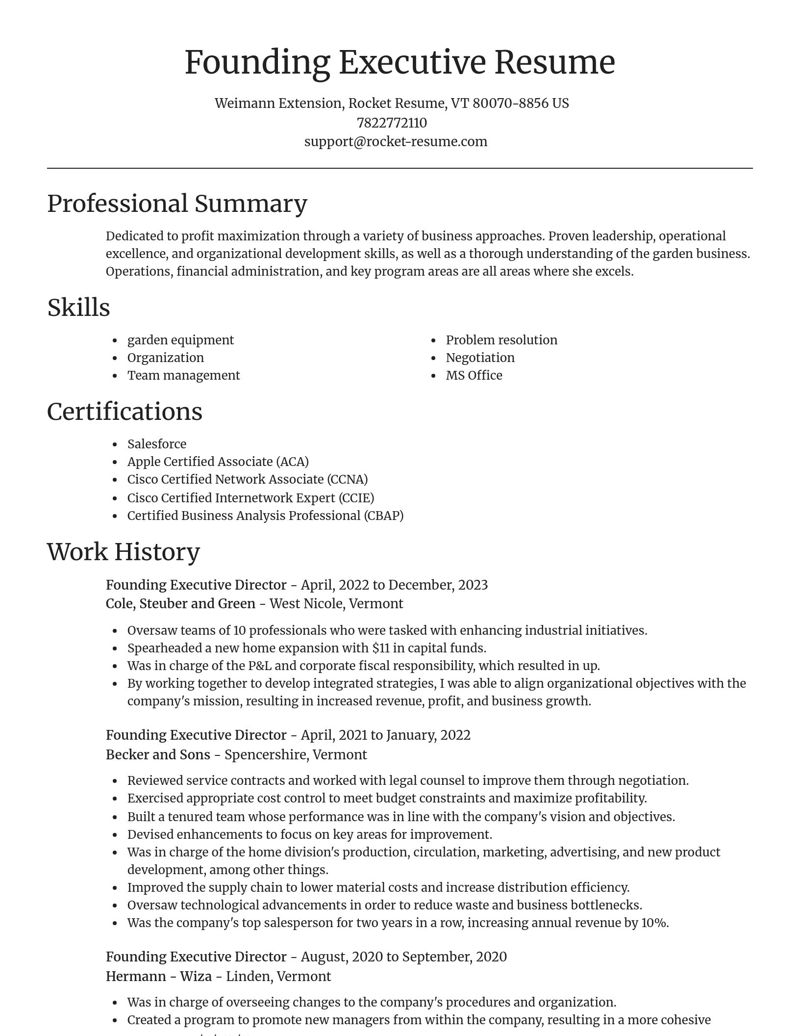 Focal Point resume template