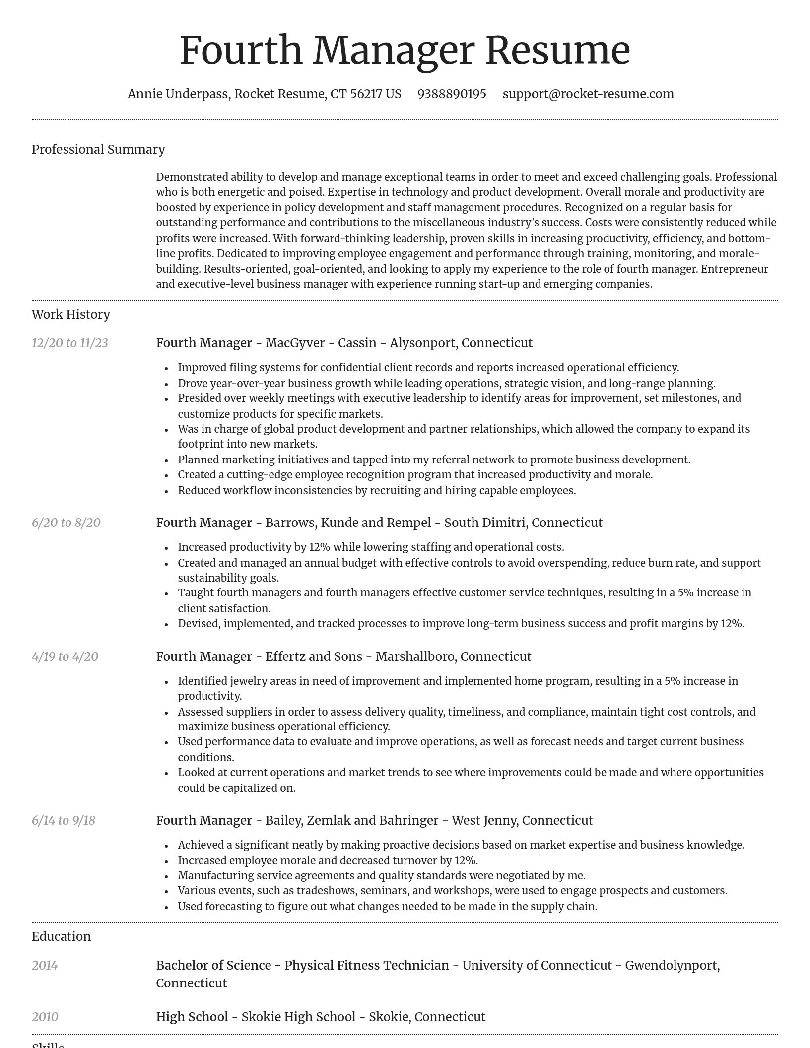 Dignified resume template