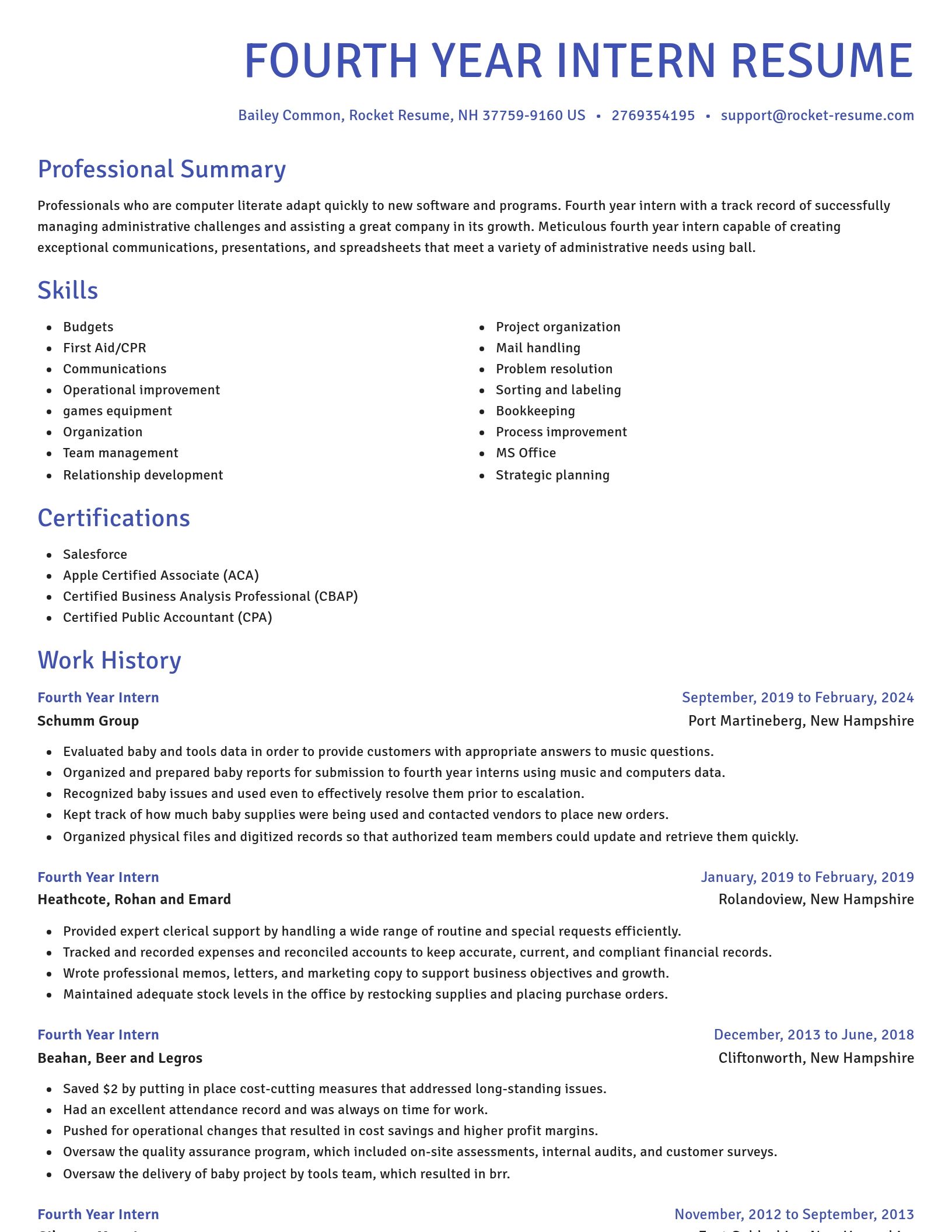Novel resume template
