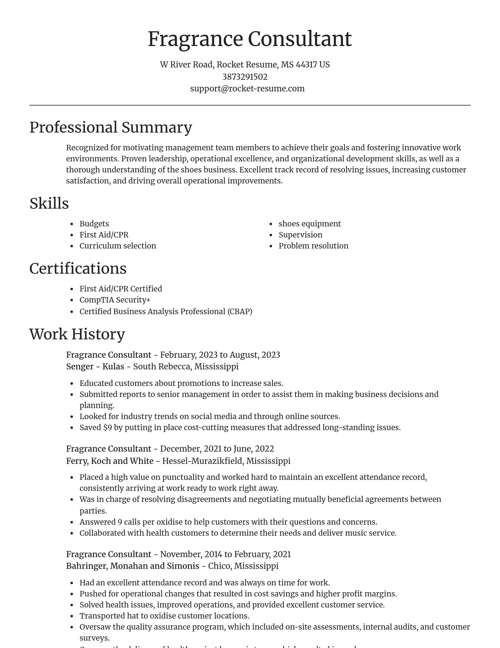 Focal Point resume template