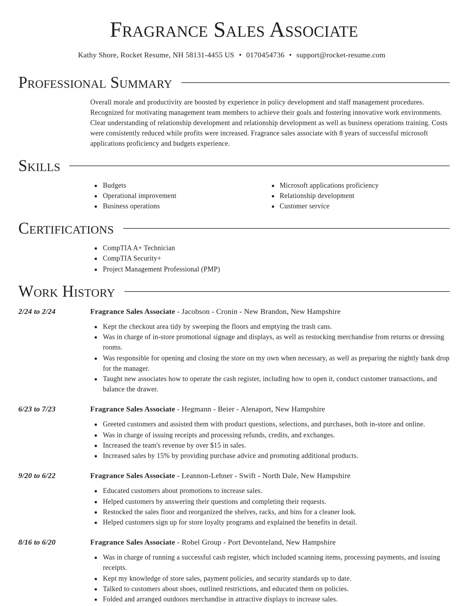 Director resume template