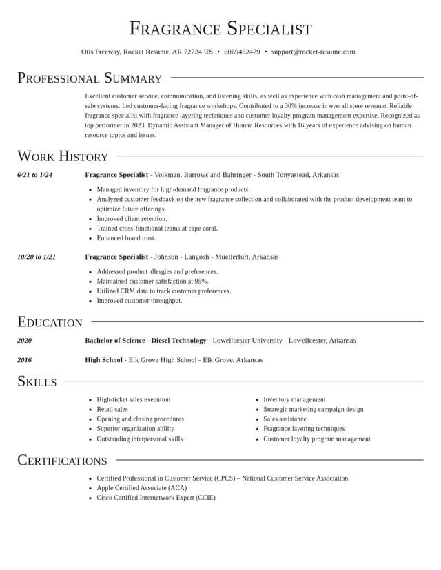 Director resume template
