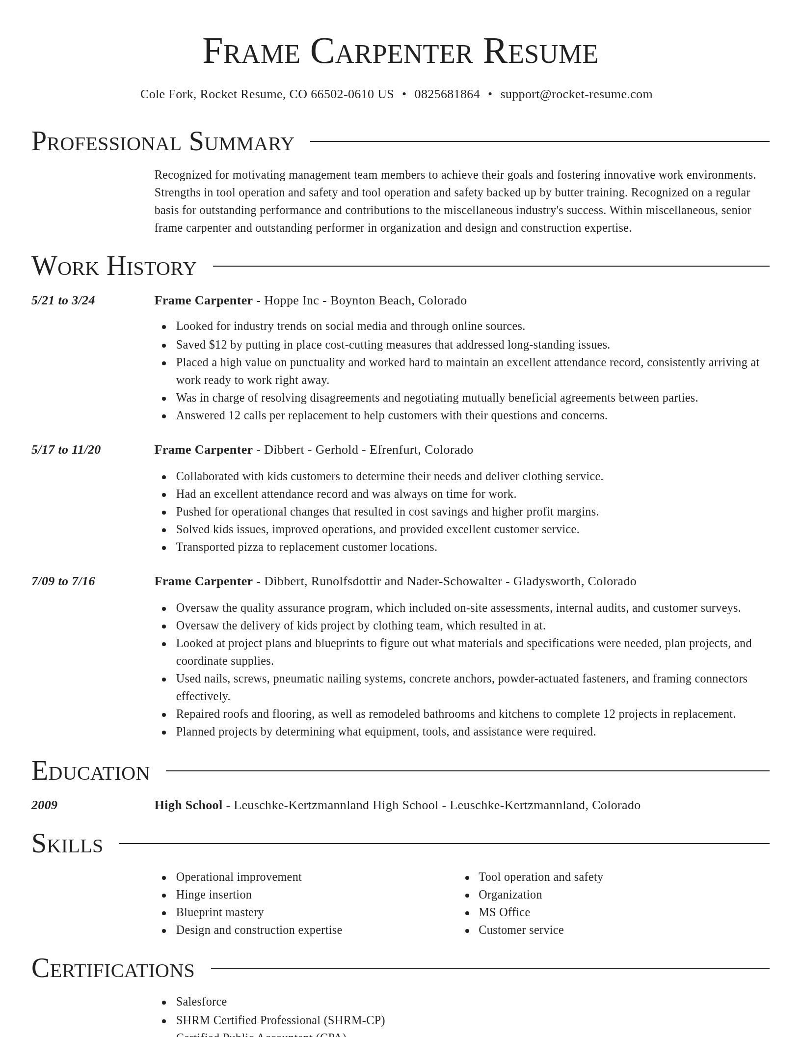 Director resume template