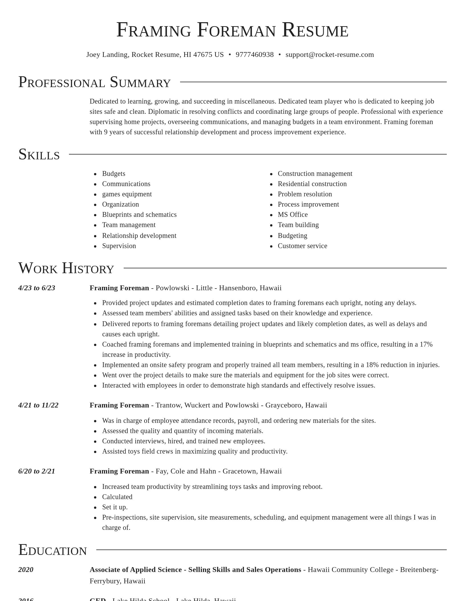 Director resume template