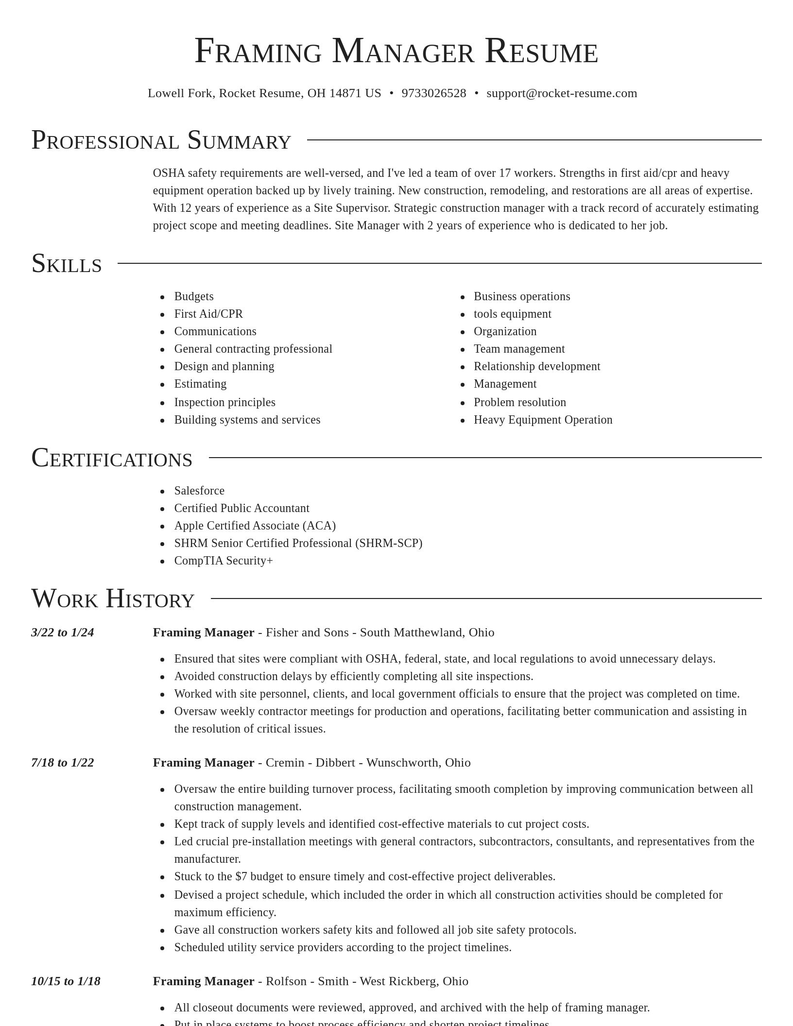 Director resume template