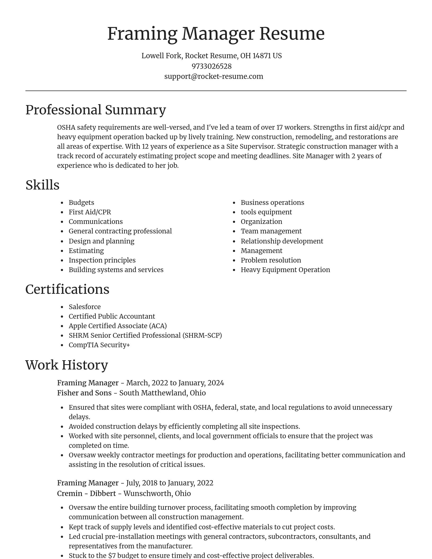 Focal Point resume template