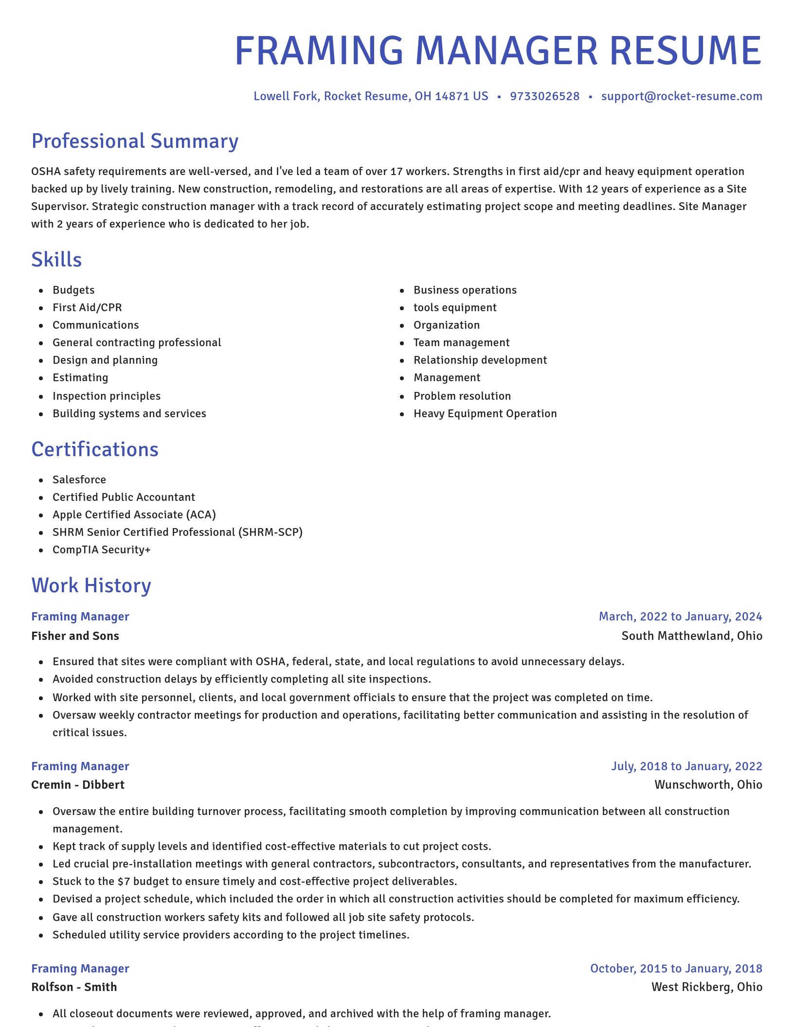 Novel resume template