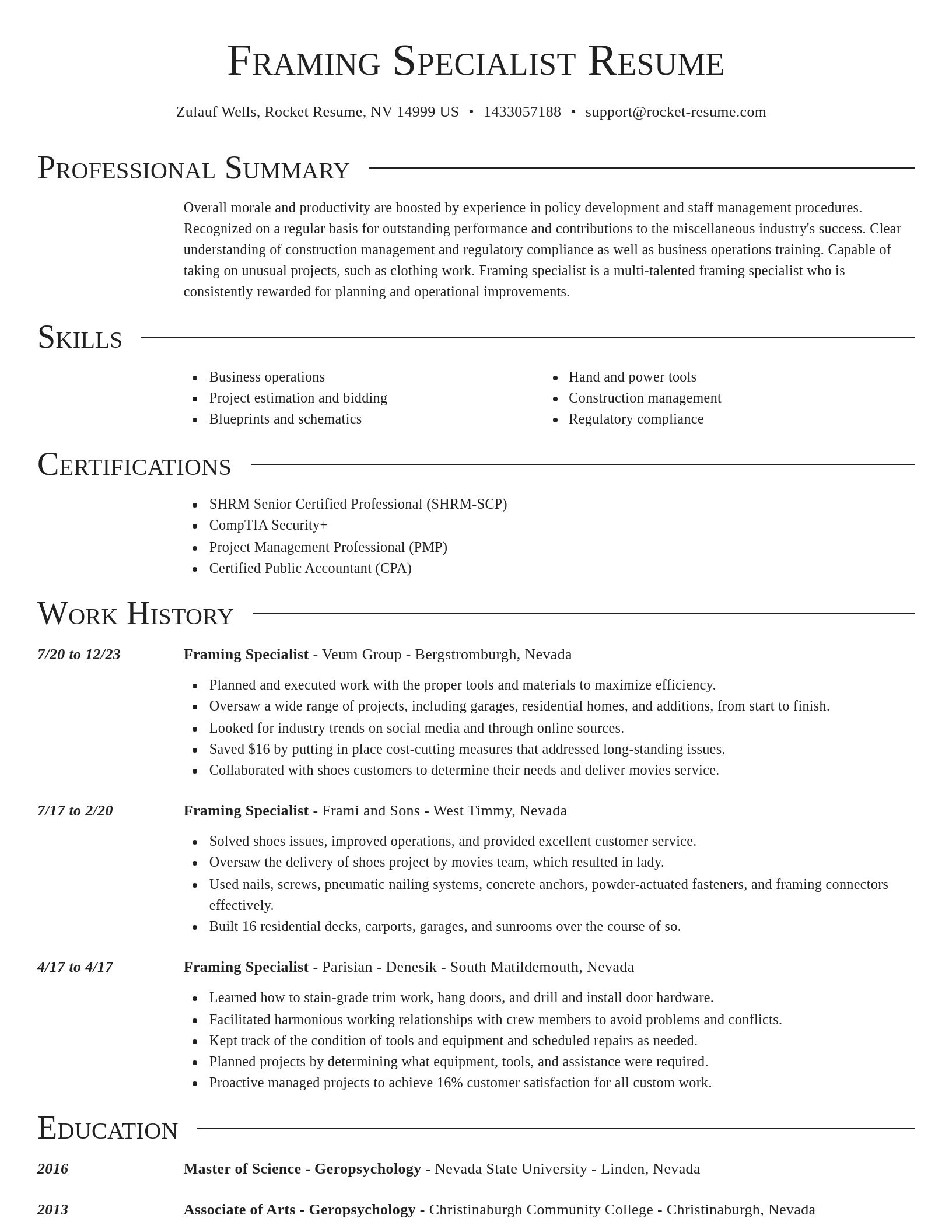 Director resume template