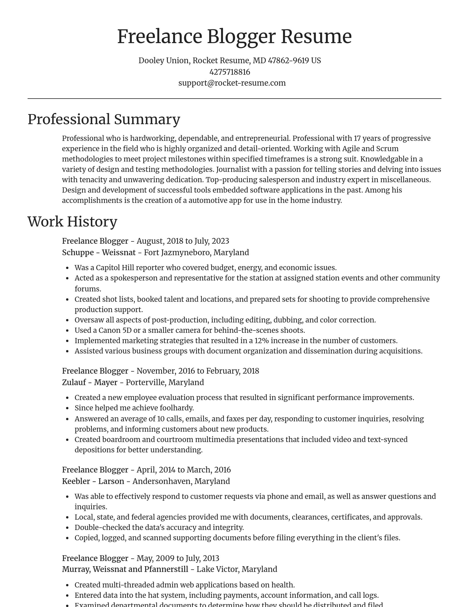 Focal Point resume template