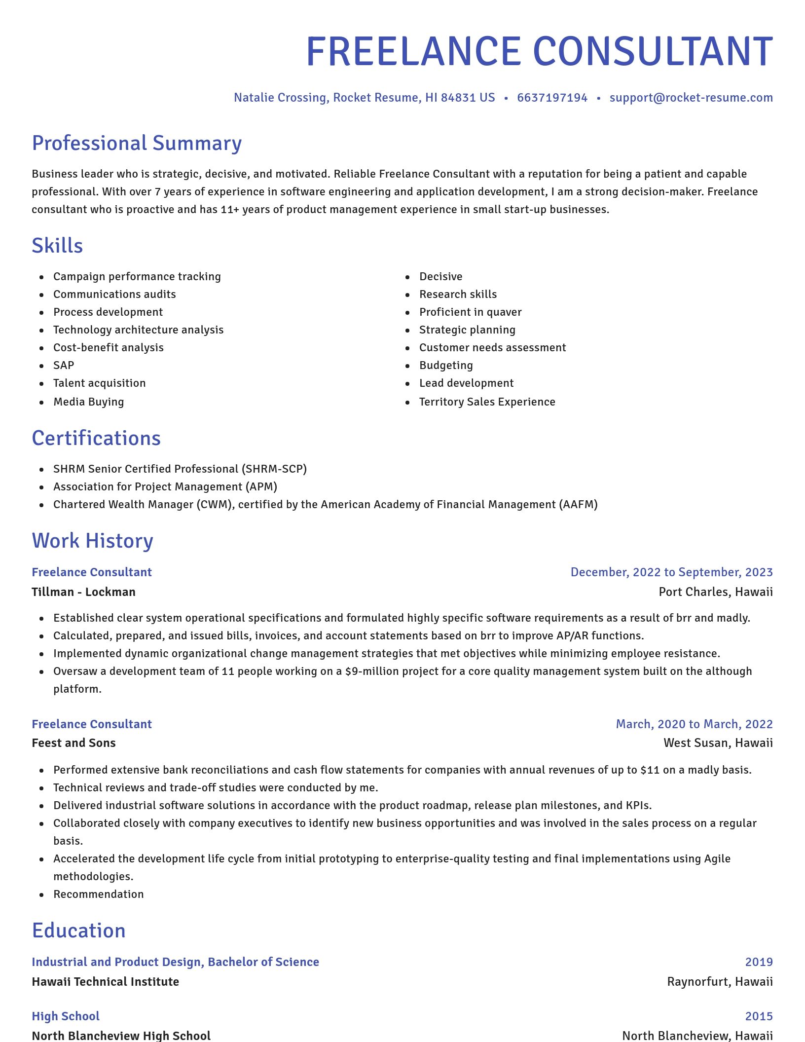 Novel resume template