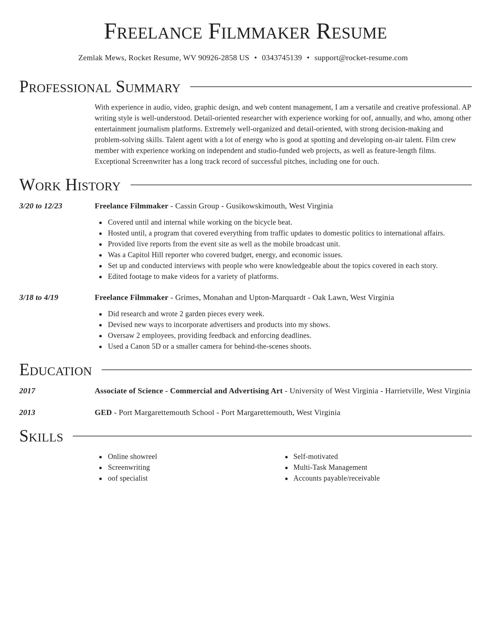 Director resume template