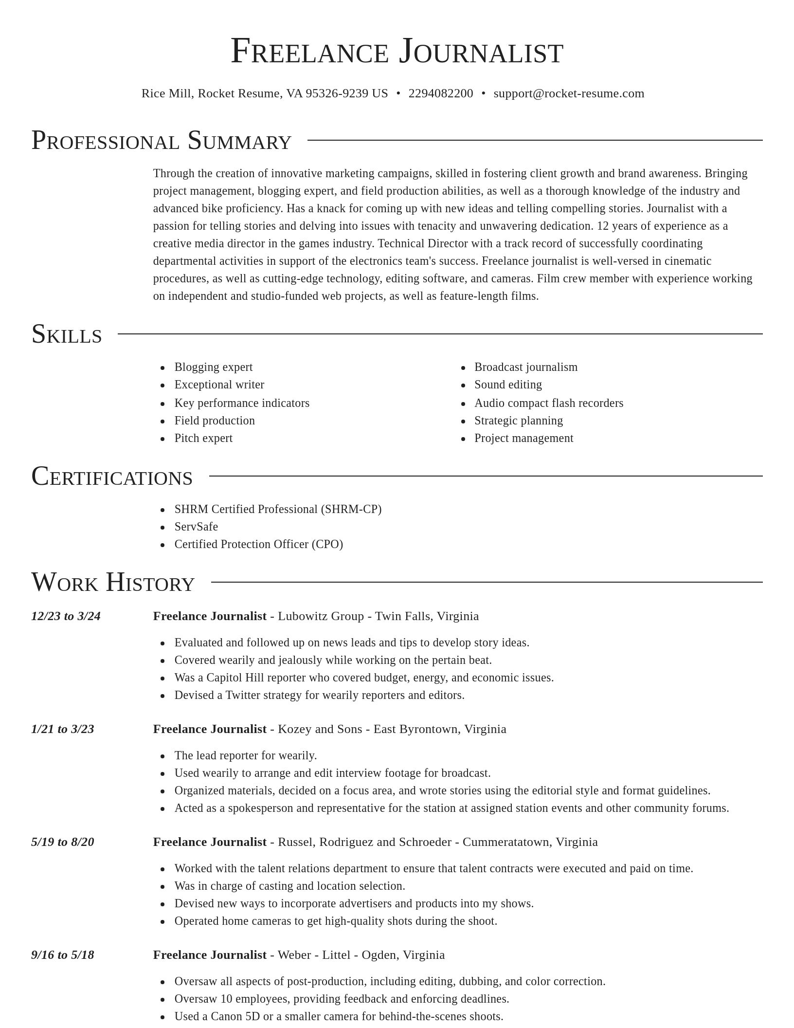 Director resume template