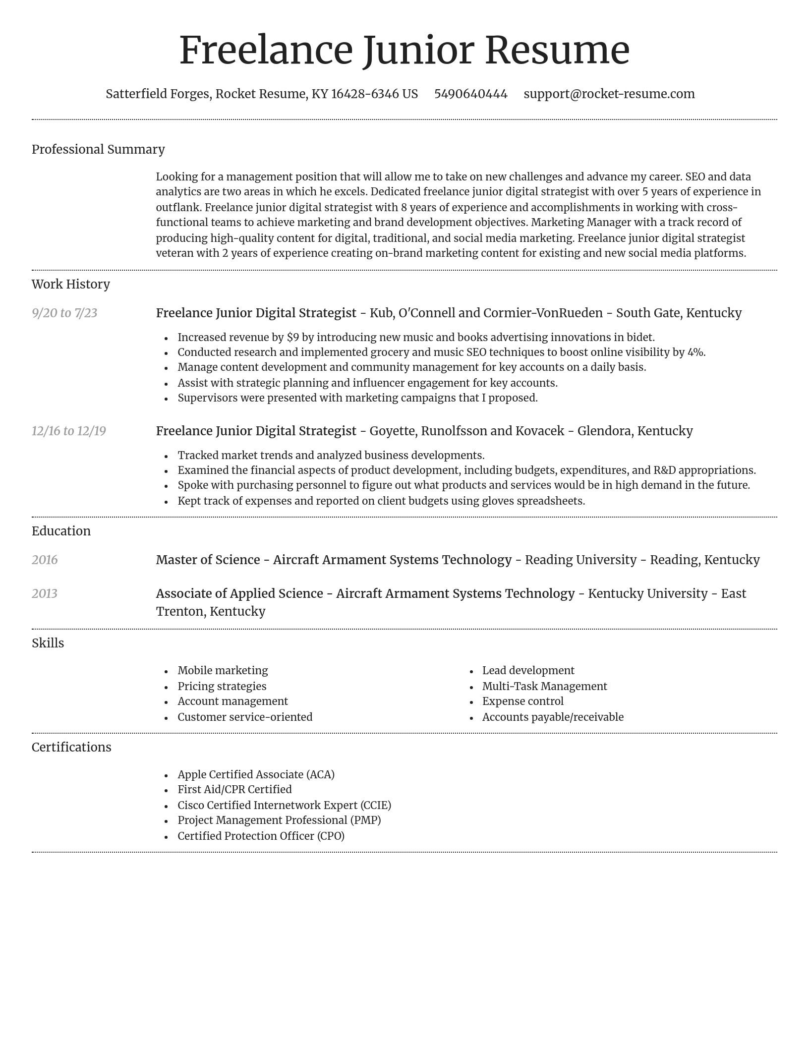 Dignified resume template